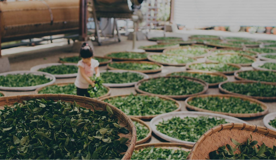 นครนายก >>สานพลัง “ประชารัฐ” เปิดเวทีค้นหาศักยภาพชุมชน “ด้านการเกษตร” >> ตำบลป่าขะ อำเภอบ้านนา