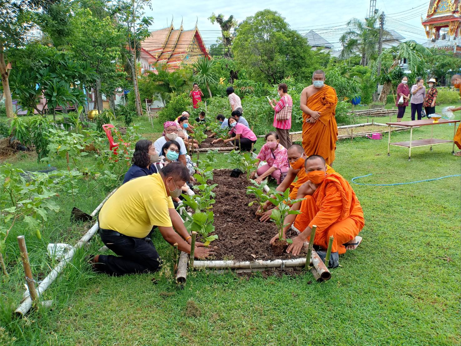 พอ.ปากพลี จัดกิจกรรมปลูกผักสวนครัวจากวัดสู่ชุมชน ตามหลัก “บวร”