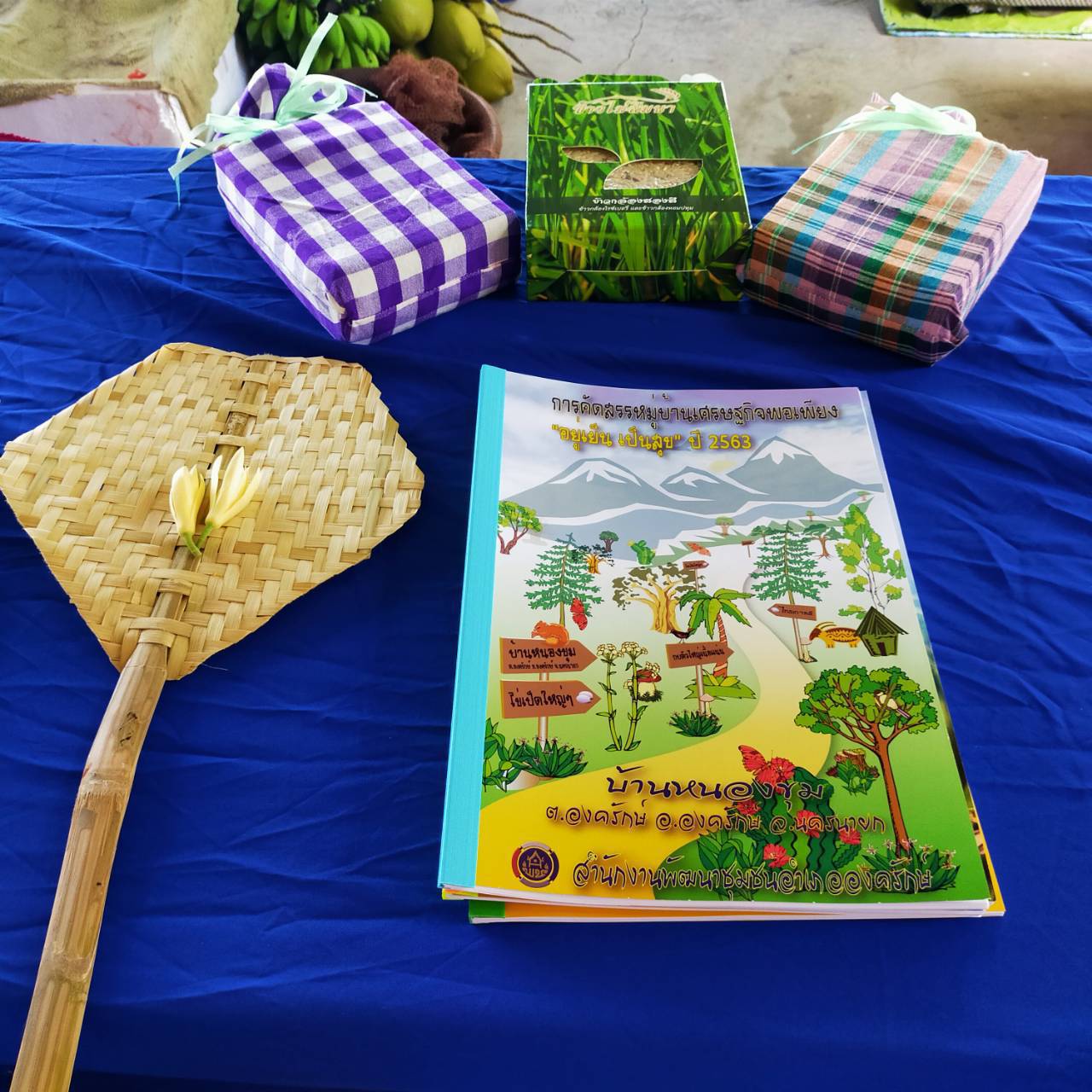 กิจกรรมพัฒนาชุมชนดีเด่น ประจำปี 2563