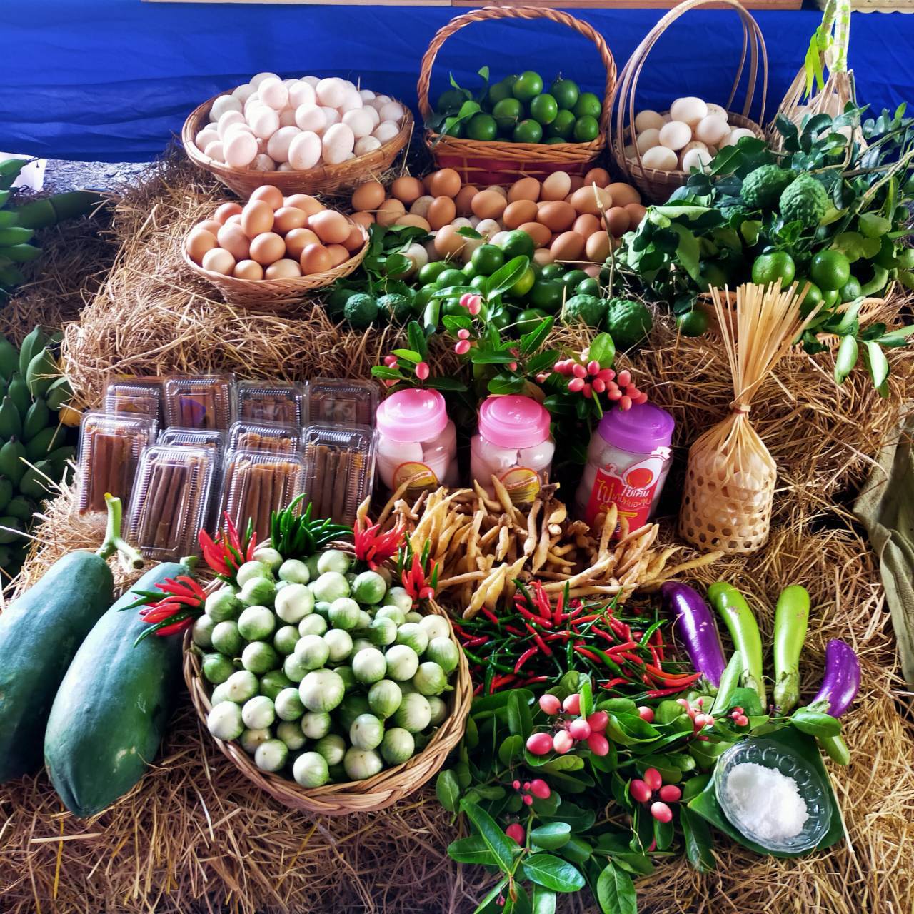 กิจกรรมพัฒนาชุมชนดีเด่น ประจำปี 2563