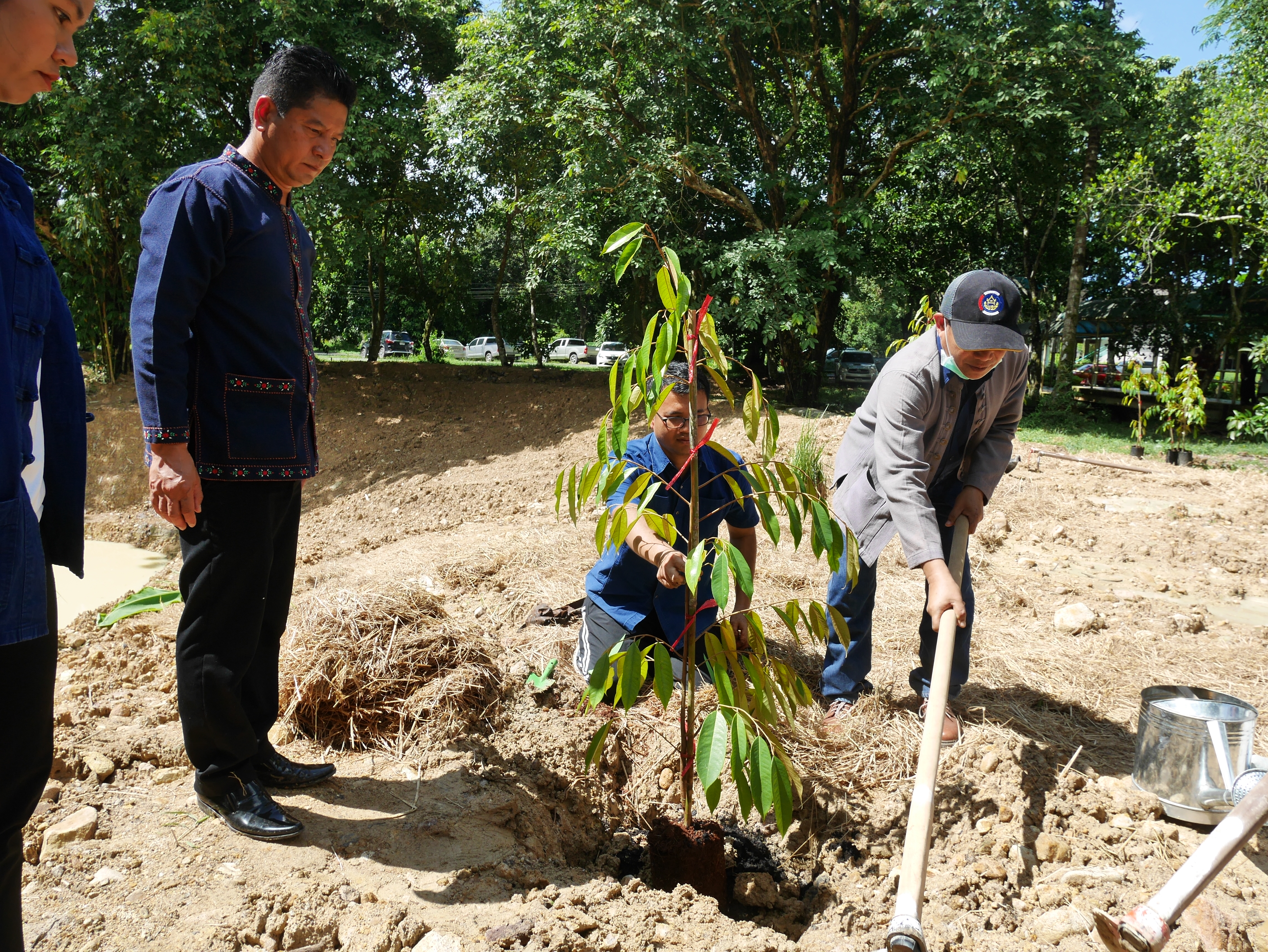 กิจกรรมเอามื้อสามัคคี โคก หนอง นา โมเดล