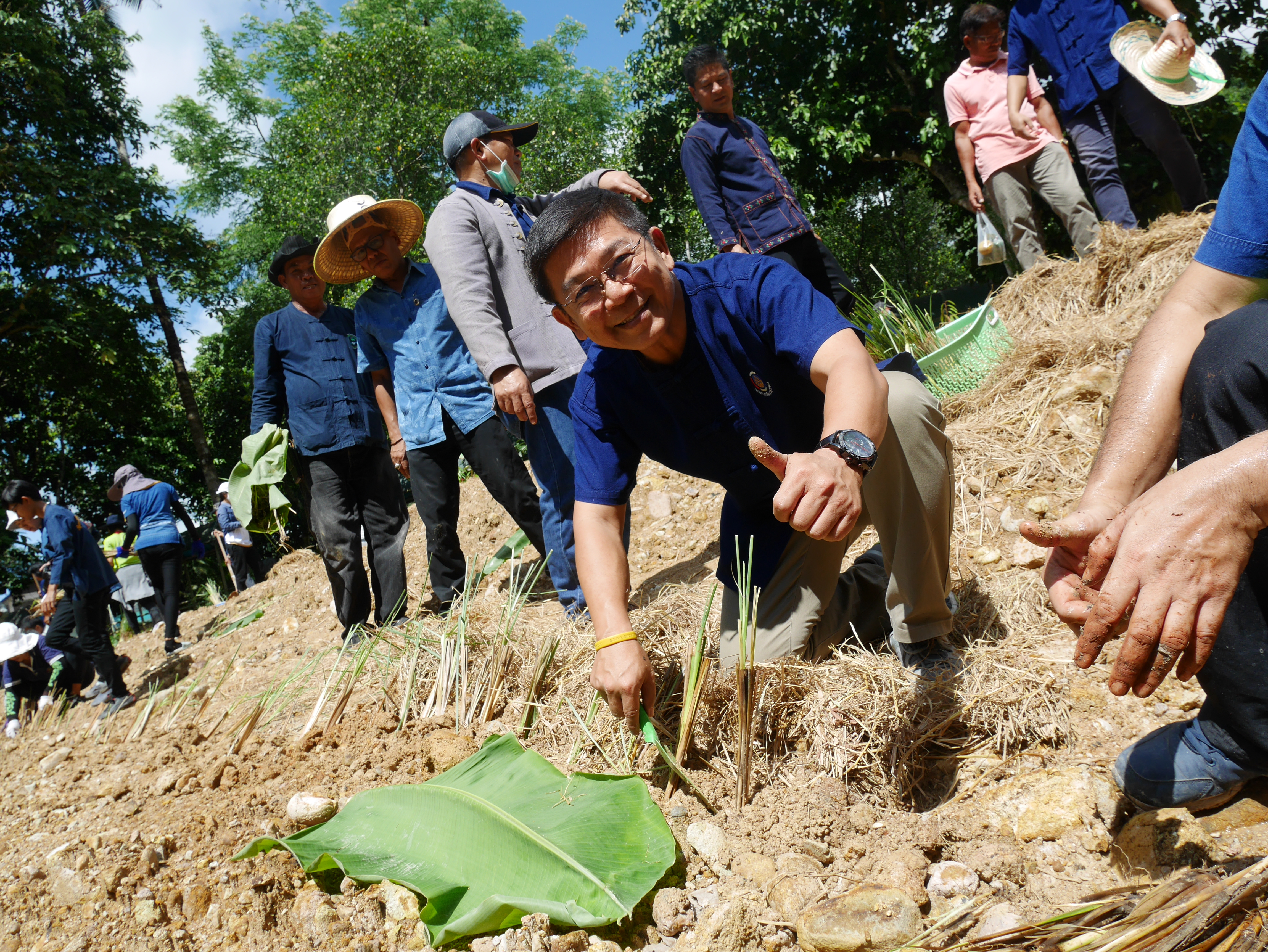 กิจกรรมเอามื้อสามัคคี โคก หนอง นา โมเดล