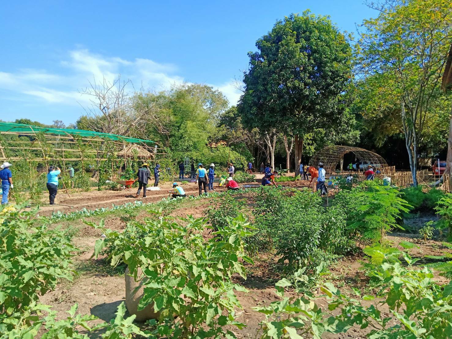 ผู้ว่าราชการจังหวัดนครนายก นำทีมส่วนราชการ วัด ผู้นำชุมชน และประชาชน น้อมนำหลักปรัชญาเศรษฐกิจพอเพียงตามหลักทฤษฎีใหม่ประยุกต์สู่ โคก หนอง นา โมเดล ตามหลัก “บวร” ณ วัดดงละคร หมู่ที่ 4  ต.ดงละคร อ.เมืองนครนายก จ.นครนายก