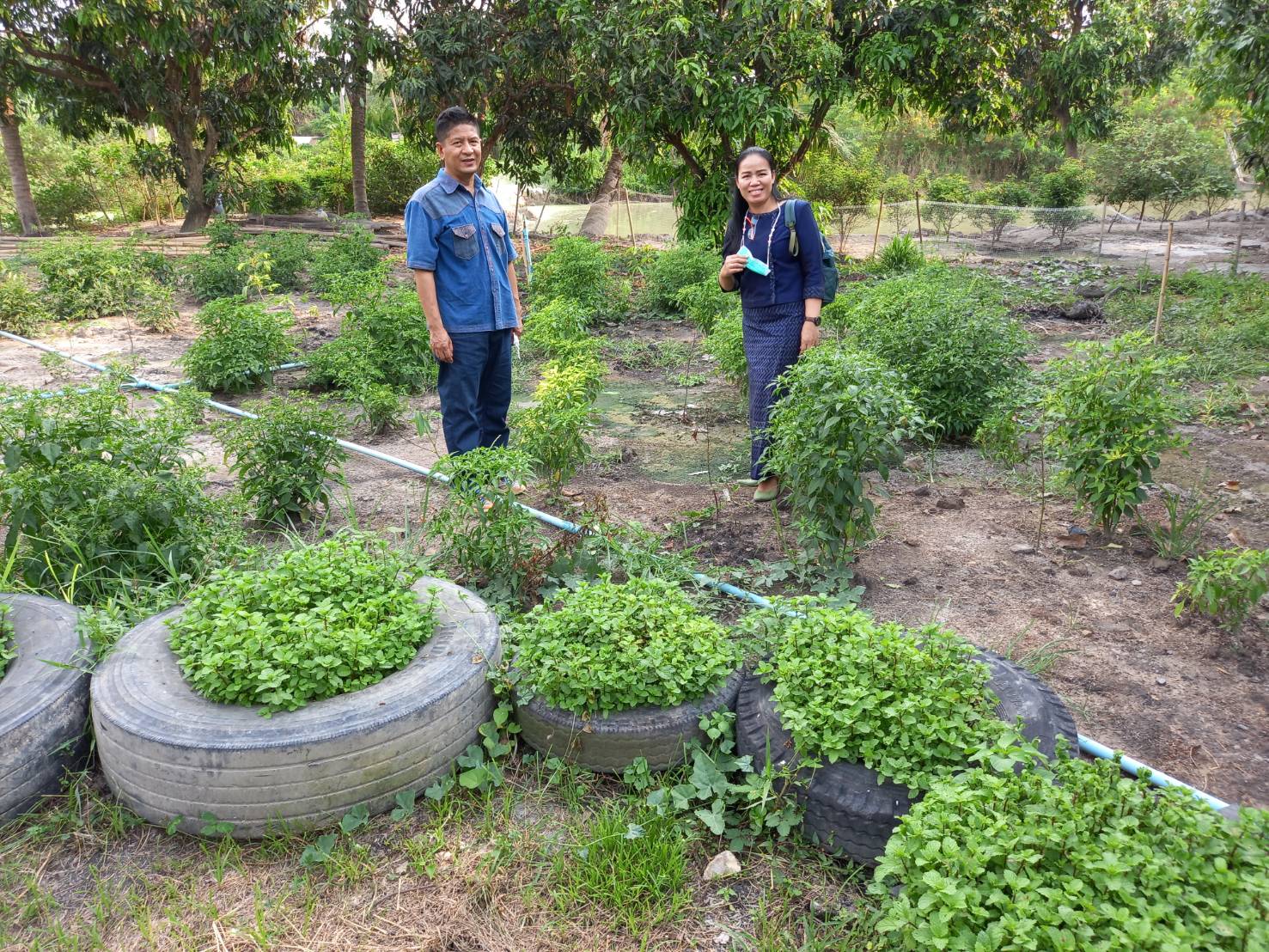 นายเสฏฐชัย ยุทธเศรษฐสิริ พัฒนาการจังหวัดนครนายก พร้อมด้วย นางดวงใจ ปะกิระคะ พัฒนาการอำเภอบ้านนา และนางอุทัยรัตน์ คำวัจนัง พัฒนากรผู้ประสานงานตำบลทองหลาง ติดตามตรวจเยี่ยมแกนนำต้นแบบ นางรำพึง ใจบุญ บ้านเลขที่ 6 ม.7 ต.ทองหลาง ที่เข้าร่วมกิจกรรม การพัฒนาศูนย์เรียนรู้ทฤษฏีใหม่รูปแบบ “โคก หนอง นา โมเดล” พื้นที่ 1 ไร่
