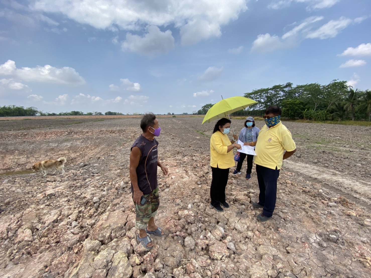 พช.นครนายก เดินหน้าขับเคลื่อนโครงการพัฒนาหมู่บ้านเศรษฐกิจพอเพียง กิจกรรมที่ 4 การพัฒนาศูนย์เรียนรู้เศรษฐกิจพอเพียง รูปแบบ ” โคก หนอง นา โมเดล”