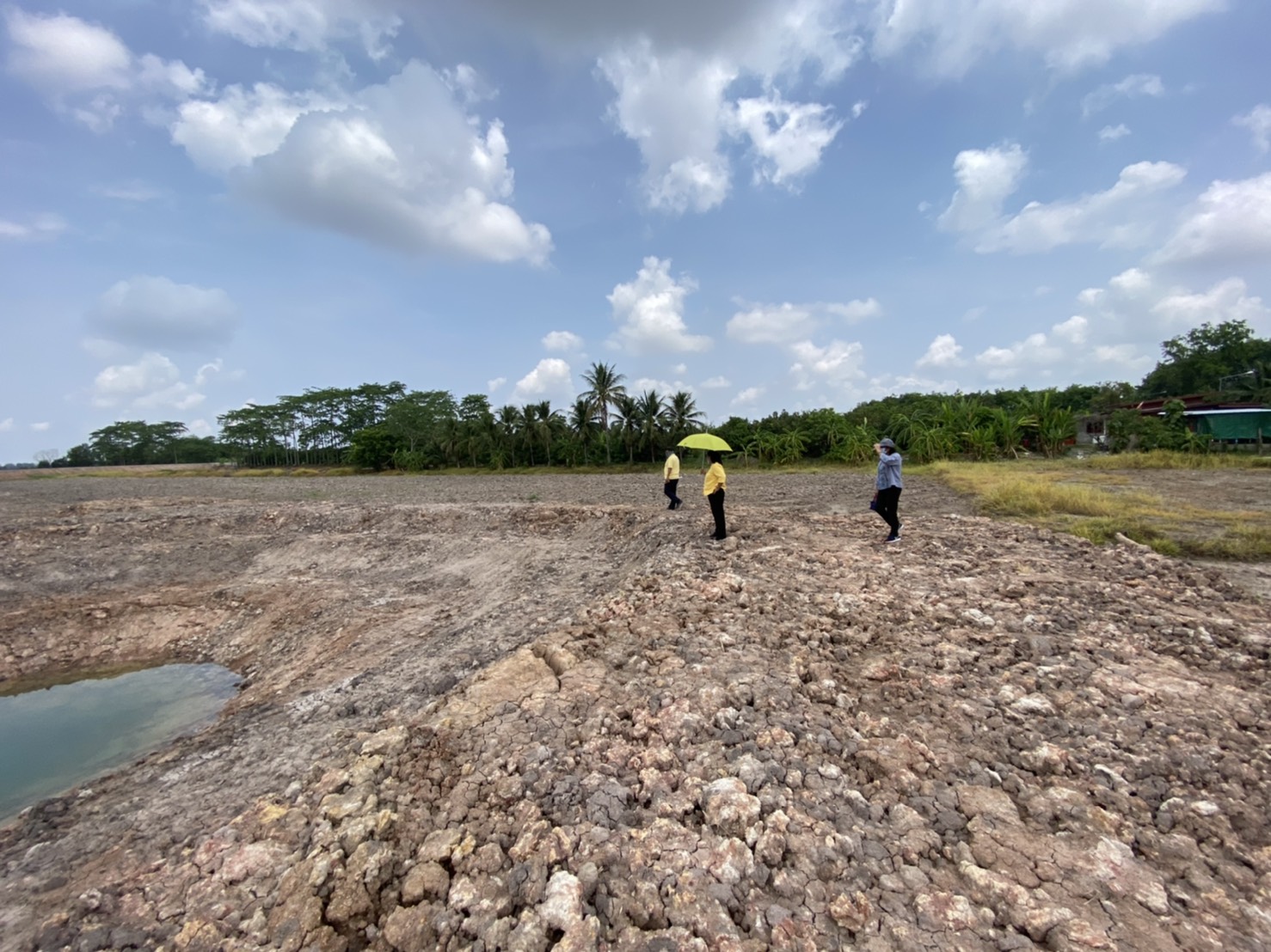 พช.นครนายก เดินหน้าขับเคลื่อนโครงการพัฒนาหมู่บ้านเศรษฐกิจพอเพียง กิจกรรมที่ 4 การพัฒนาศูนย์เรียนรู้เศรษฐกิจพอเพียง รูปแบบ ” โคก หนอง นา โมเดล”