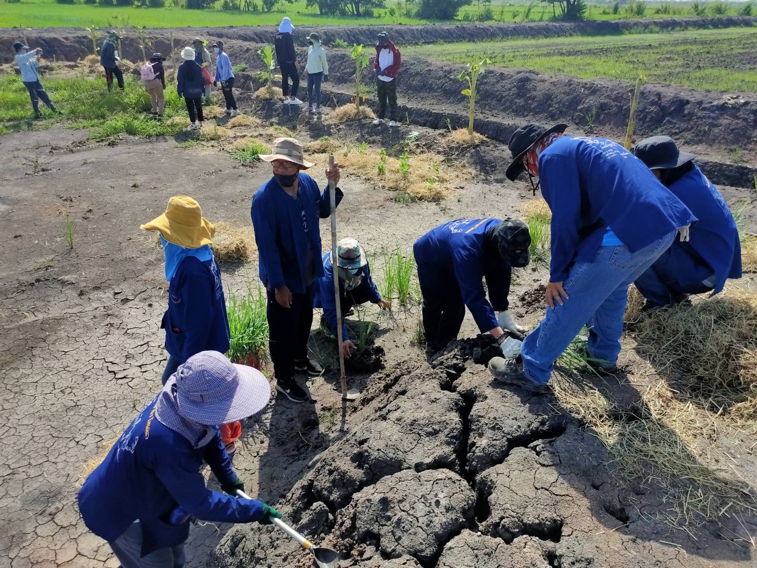 พช.เมืองนครนายก เปิดกิจกรรมเรียนรู้ “เอามื้อสามัคคี…แปลงแรก” ที่บ้านโรงหิน ตำบลท่าทราย