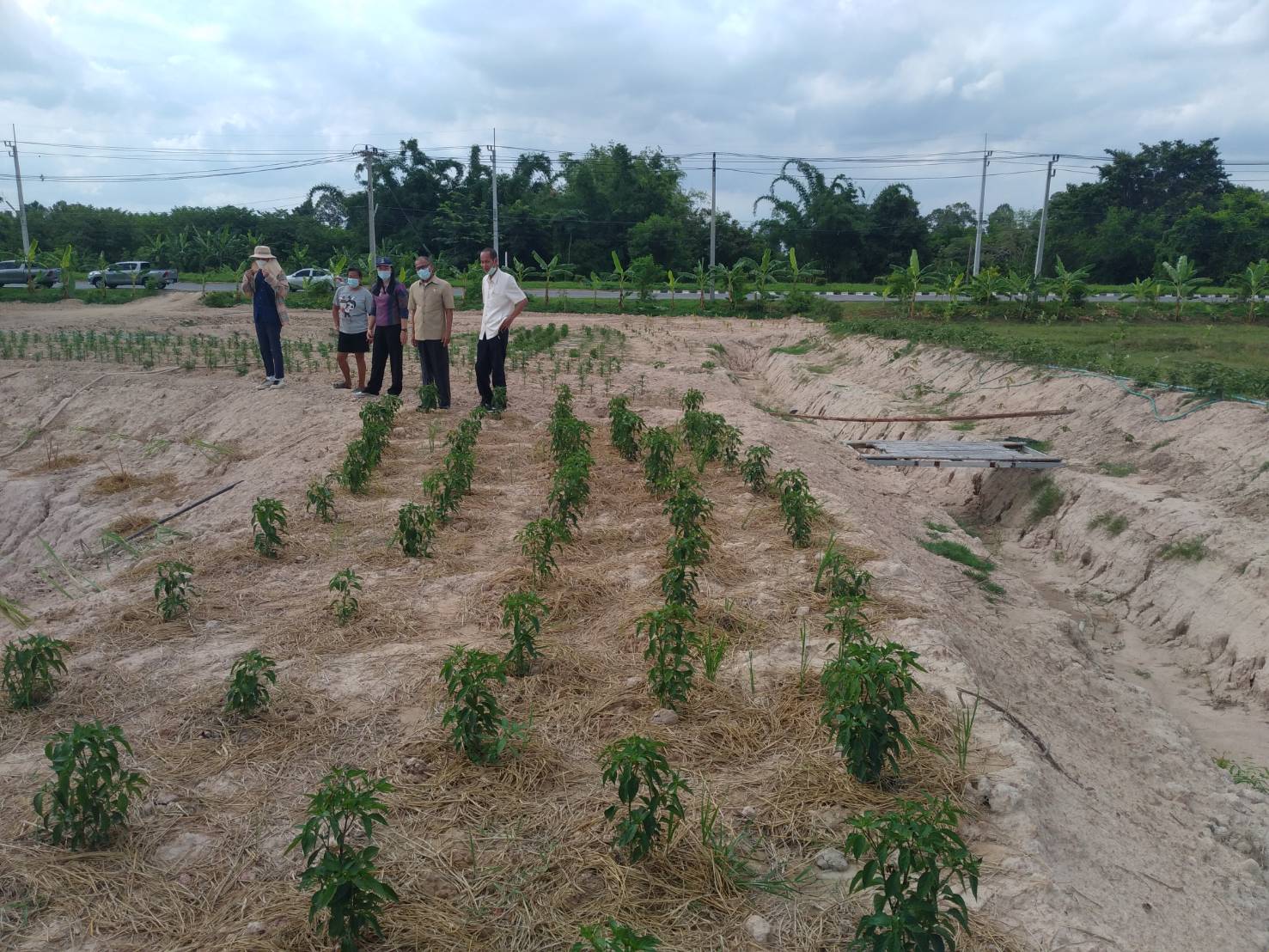 พช.นครนายก จัดทีมลงพื้นที่อำเภอบ้านนา สนับสนุนกิจกรรม โคก หนอง นา โมเดล