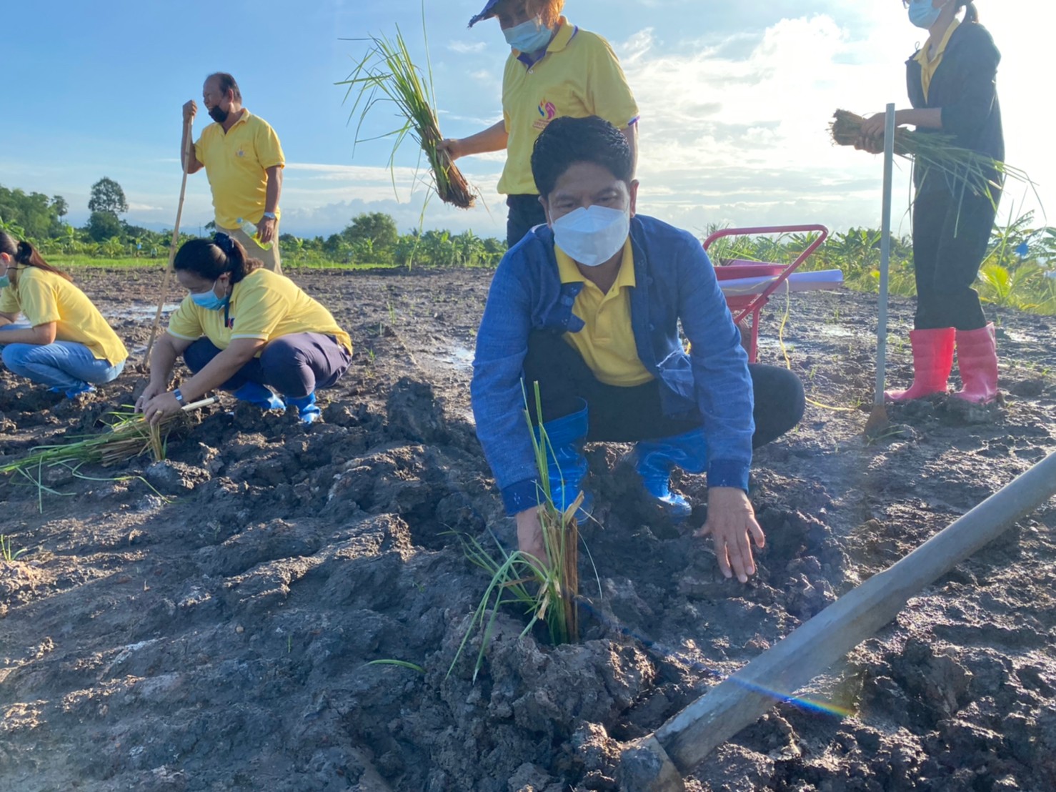 เอามื้อสามัคคี โคก หนอง นา โมเดล พช.นครนายก  ปลูกแฝก อุ้มดิน ห่มใจ ร่วมสู้ภัยโควิด