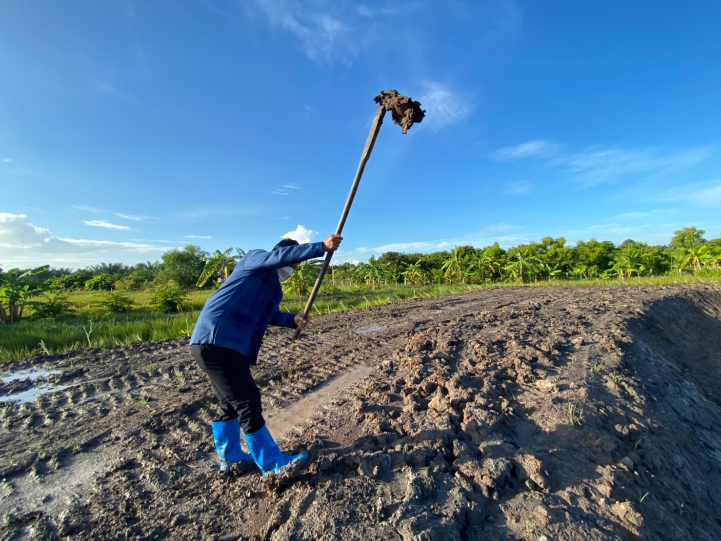 เอามื้อสามัคคี โคก หนอง นา โมเดล พช.นครนายก  ปลูกแฝก อุ้มดิน ห่มใจ ร่วมสู้ภัยโควิด