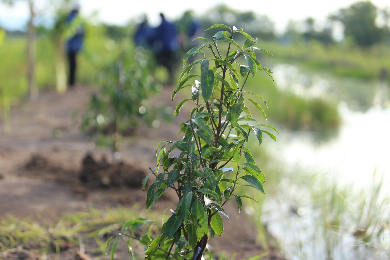 แลกเปลี่ยนเรียนรู้ ครูพาทำ” พช.เมืองนครนายก จัดกิจกรรมเอามื้อสามัคคี “โคก หนอง นา พช.” จ.นครนายก  พร้อมชม! ความสำเร็จของโครงการ  และร่วมกิจกรรมปลูกพืชผักสร้างความมั่นคงทางอาหาร เพื่อพัฒนาคุณภาพชีวิตอย่างยั่งยืน