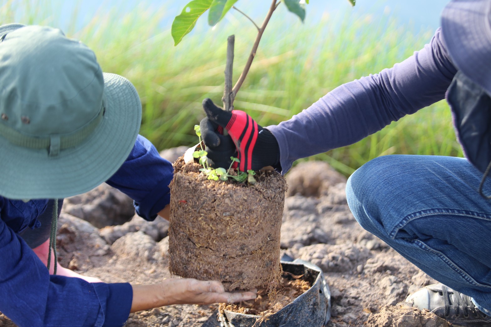 แลกเปลี่ยนเรียนรู้ ครูพาทำ” พช.เมืองนครนายก จัดกิจกรรมเอามื้อสามัคคี “โคก หนอง นา พช.” จ.นครนายก  พร้อมชม! ความสำเร็จของโครงการ  และร่วมกิจกรรมปลูกพืชผักสร้างความมั่นคงทางอาหาร เพื่อพัฒนาคุณภาพชีวิตอย่างยั่งยืน