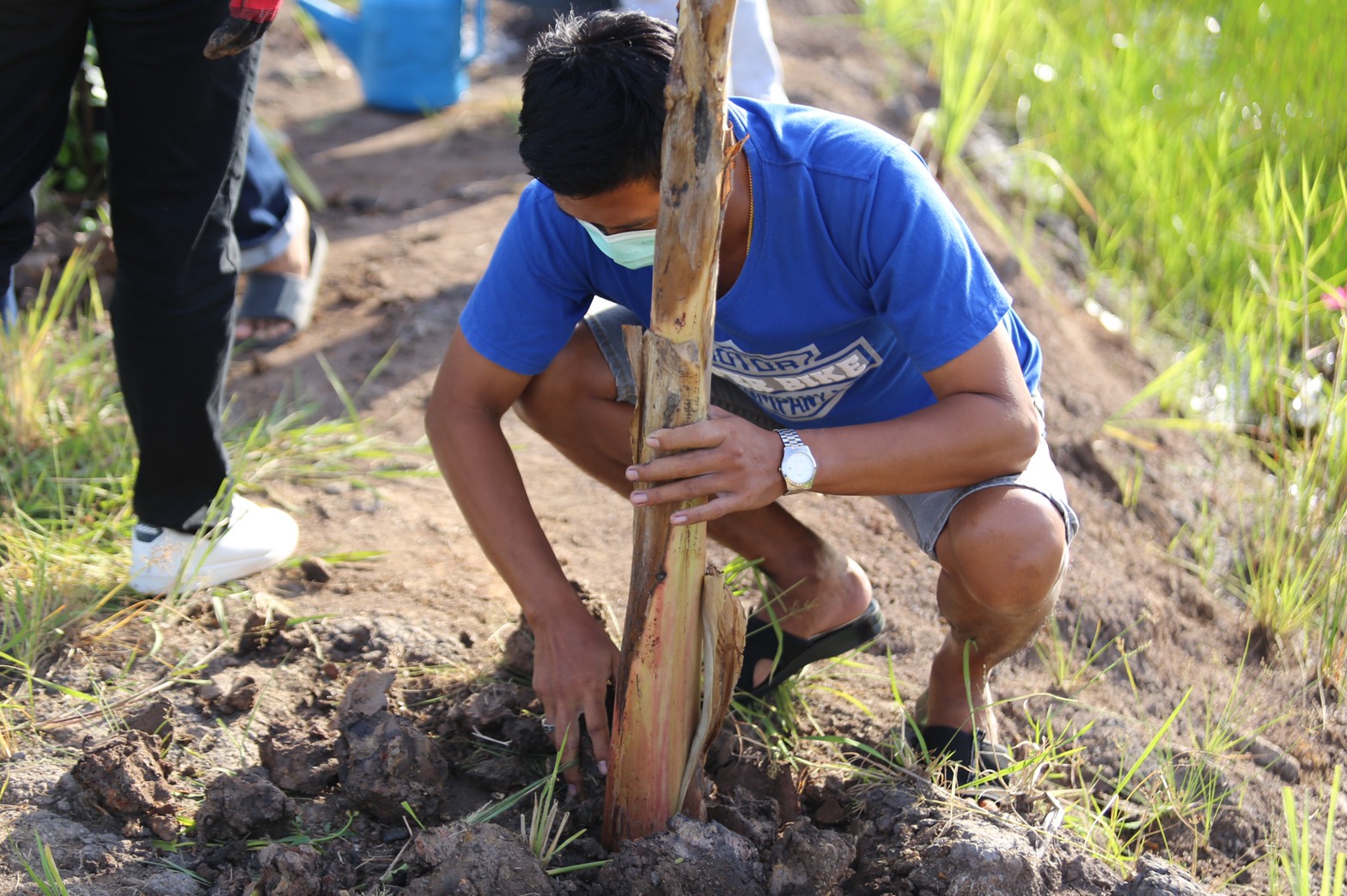 “แลกเปลี่ยนเรียนรู้ ครูพาทำ” พช.เมืองนครนายก จัดกิจกรรมเอามื้อสามัคคี “โคก หนอง นา พช.” จ.นครนายก  พร้อมชม! ความสำเร็จของโครงการ  และร่วมกิจกรรมปลูกพืชผักสร้างความมั่นคงทางอาหาร เพื่อพัฒนาคุณภาพชีวิตอย่างยั่งยืน