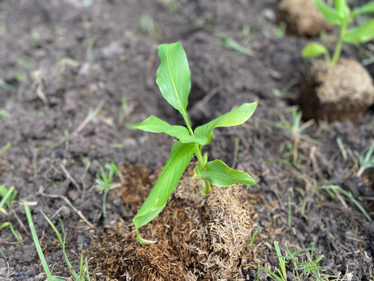 จังหวัดนครนายก ติดตามผลสำเร็จและสนับสนุนโครงการพัฒนาหมู่บ้านเศรษฐกิจพอเพียง กิจกรรมพัฒนาศูนย์เรียนรู้ทฤษฎีใหม่รูปแบบ โคก หนอง นา โมเดล ในพื้นที่อำเภอปากพลี จังหวัดนครนายก