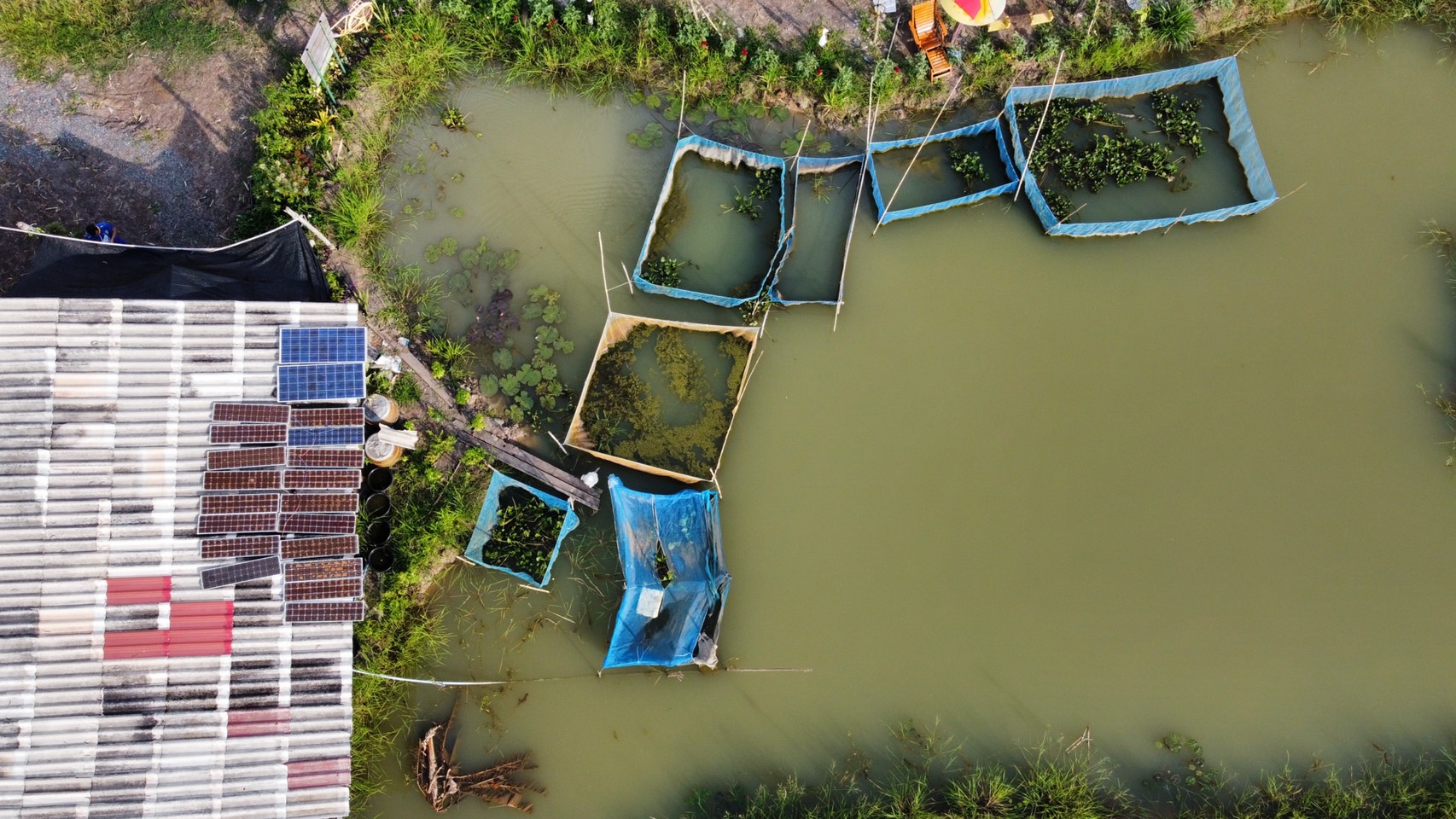 จังหวัดนครนายก มุ่งมั่นส่งเสริม สนับสนุนการขับเคลื่อนโครงการ “โคก หนอง นา วิถีพอเพียง” เพื่อความสุขที่ยั่งยืน ภายใต้วิสัยทัศน์ นครนายกเมืองน่าอยู่