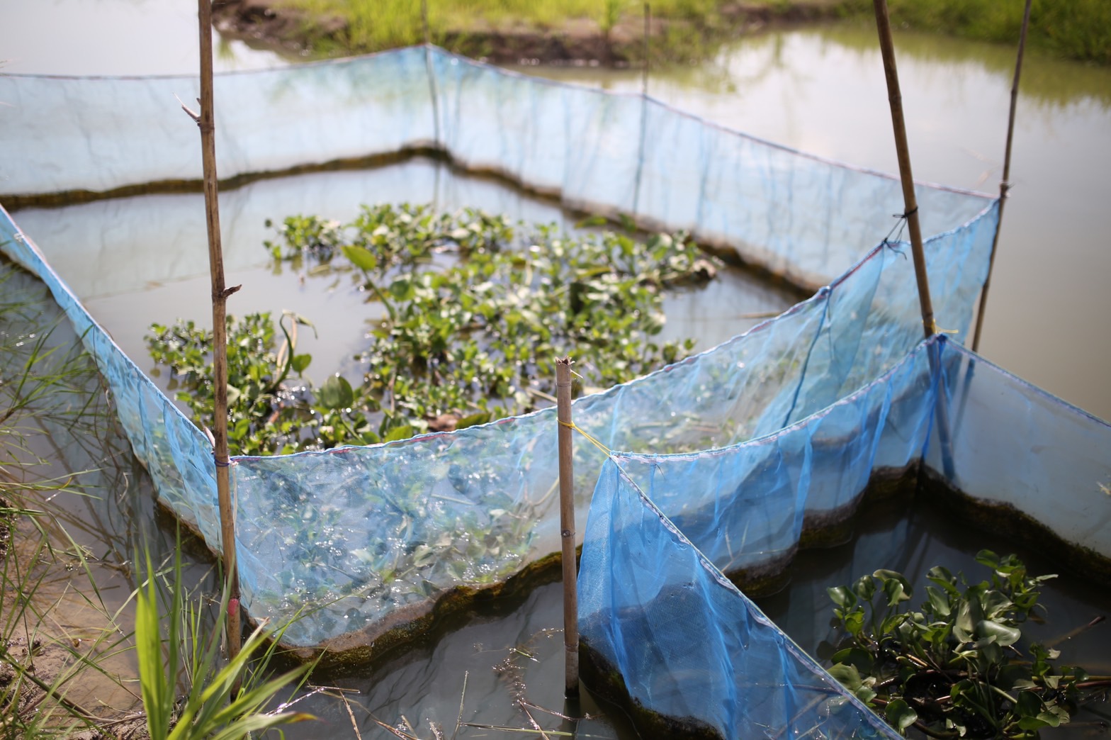 จังหวัดนครนายก มุ่งมั่นส่งเสริม สนับสนุนการขับเคลื่อนโครงการ “โคก หนอง นา วิถีพอเพียง” เพื่อความสุขที่ยั่งยืน ภายใต้วิสัยทัศน์ นครนายกเมืองน่าอยู่