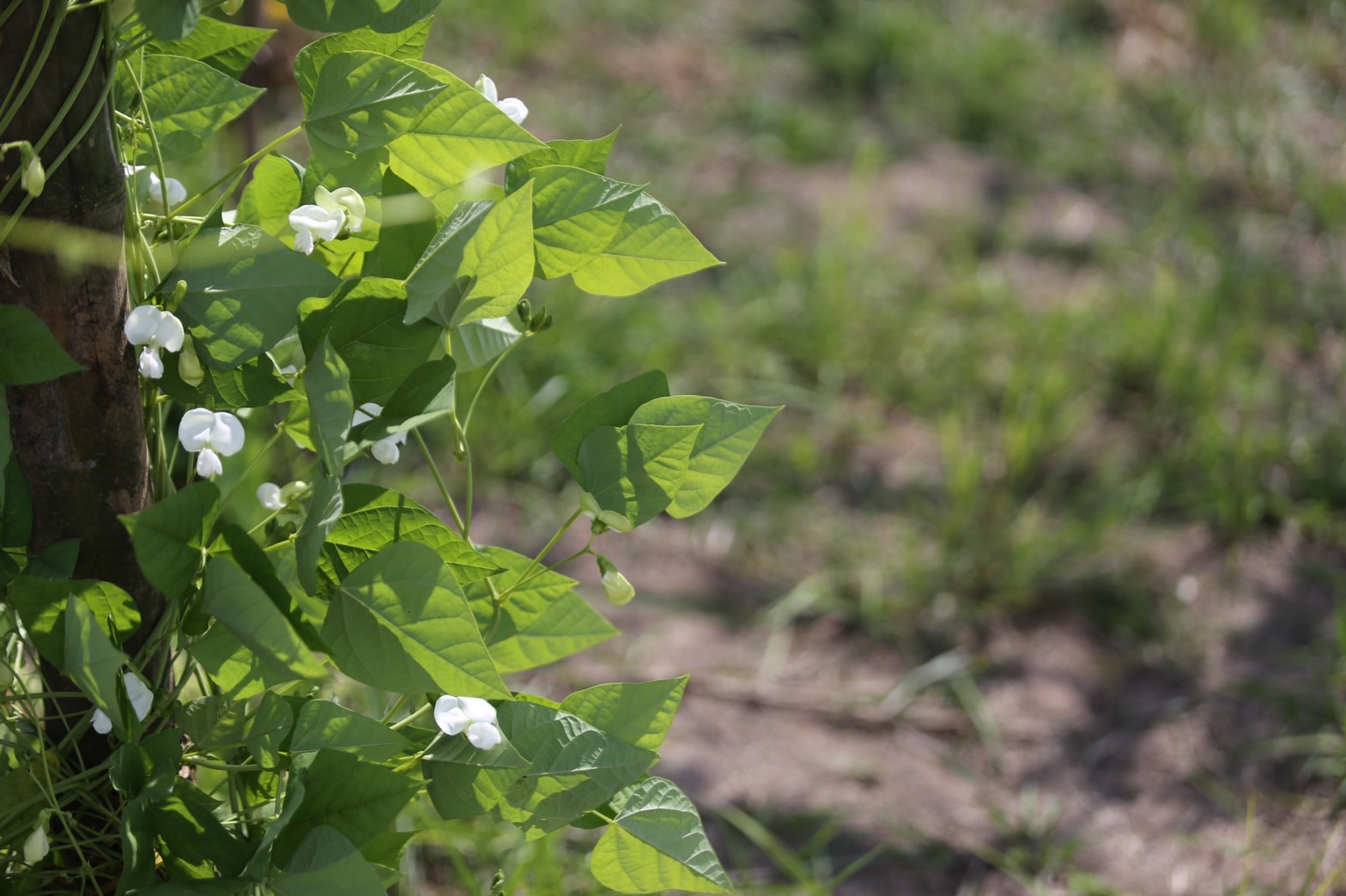 จังหวัดนครนายก มุ่งมั่นส่งเสริม สนับสนุนการขับเคลื่อนโครงการ “โคก หนอง นา วิถีพอเพียง” เพื่อความสุขที่ยั่งยืน ภายใต้วิสัยทัศน์ นครนายกเมืองน่าอยู่