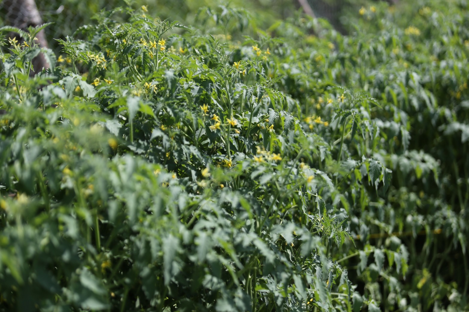 จังหวัดนครนายก มุ่งมั่นส่งเสริม สนับสนุนการขับเคลื่อนโครงการ “โคก หนอง นา วิถีพอเพียง” เพื่อความสุขที่ยั่งยืน ภายใต้วิสัยทัศน์ นครนายกเมืองน่าอยู่