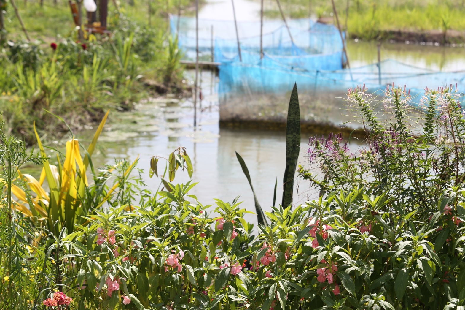 จังหวัดนครนายก มุ่งมั่นส่งเสริม สนับสนุนการขับเคลื่อนโครงการ “โคก หนอง นา วิถีพอเพียง” เพื่อความสุขที่ยั่งยืน ภายใต้วิสัยทัศน์ นครนายกเมืองน่าอยู่