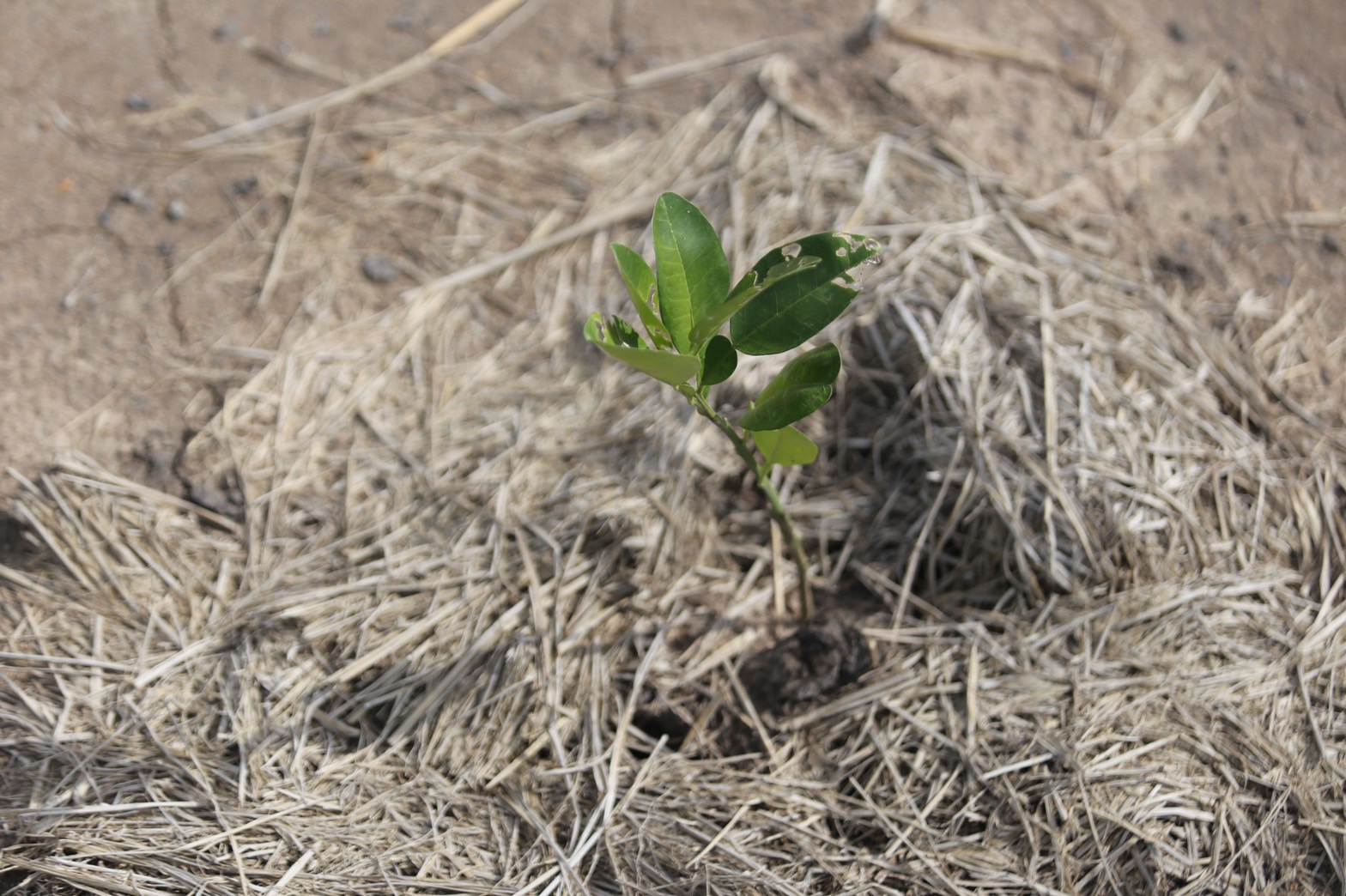 ความสำเร็จที่ยั่งยืนตามรอยศาสตร์พระราชา กับโครงการ “โคก หนอง นา โมเดล จังหวัดนครนายก” ชาวบ้านปลื้ม !! แก้ปัญหาขาดแคลนน้ำ และสามารถกักเก็บน้ำไว้ใช้อย่างเพียงพอ