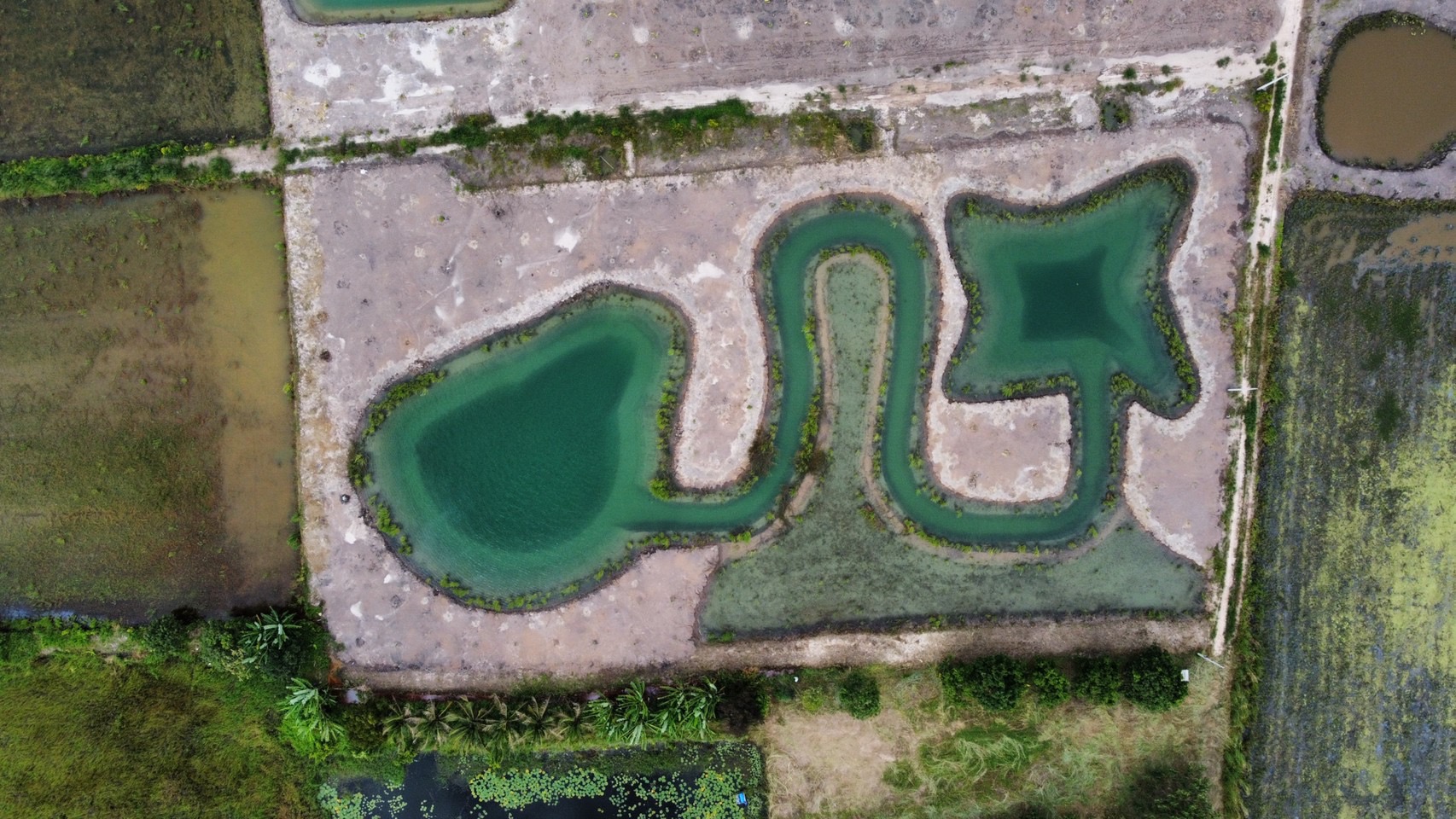 ความสำเร็จที่ยั่งยืนตามรอยศาสตร์พระราชา กับโครงการ “โคก หนอง นา โมเดล จังหวัดนครนายก” ชาวบ้านปลื้ม !! แก้ปัญหาขาดแคลนน้ำ และสามารถกักเก็บน้ำไว้ใช้อย่างเพียงพอ