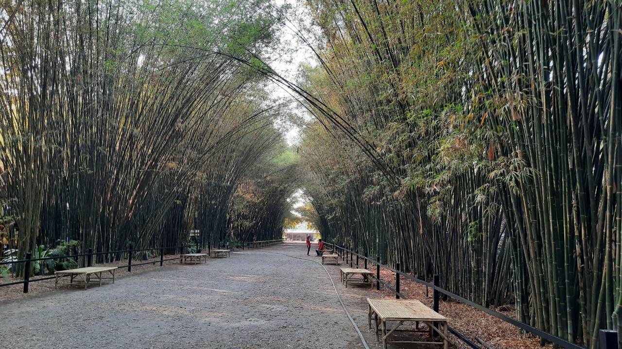 พช.นครนายก สำรวจพื้นที่จัดทำศูนย์เรียนรู้ตามรอยบาทศาสตร์พระราชา ณ วัดจุฬาภรณ์วนาราม ตำบลบ้านพริก อำเภอบ้านนา ?