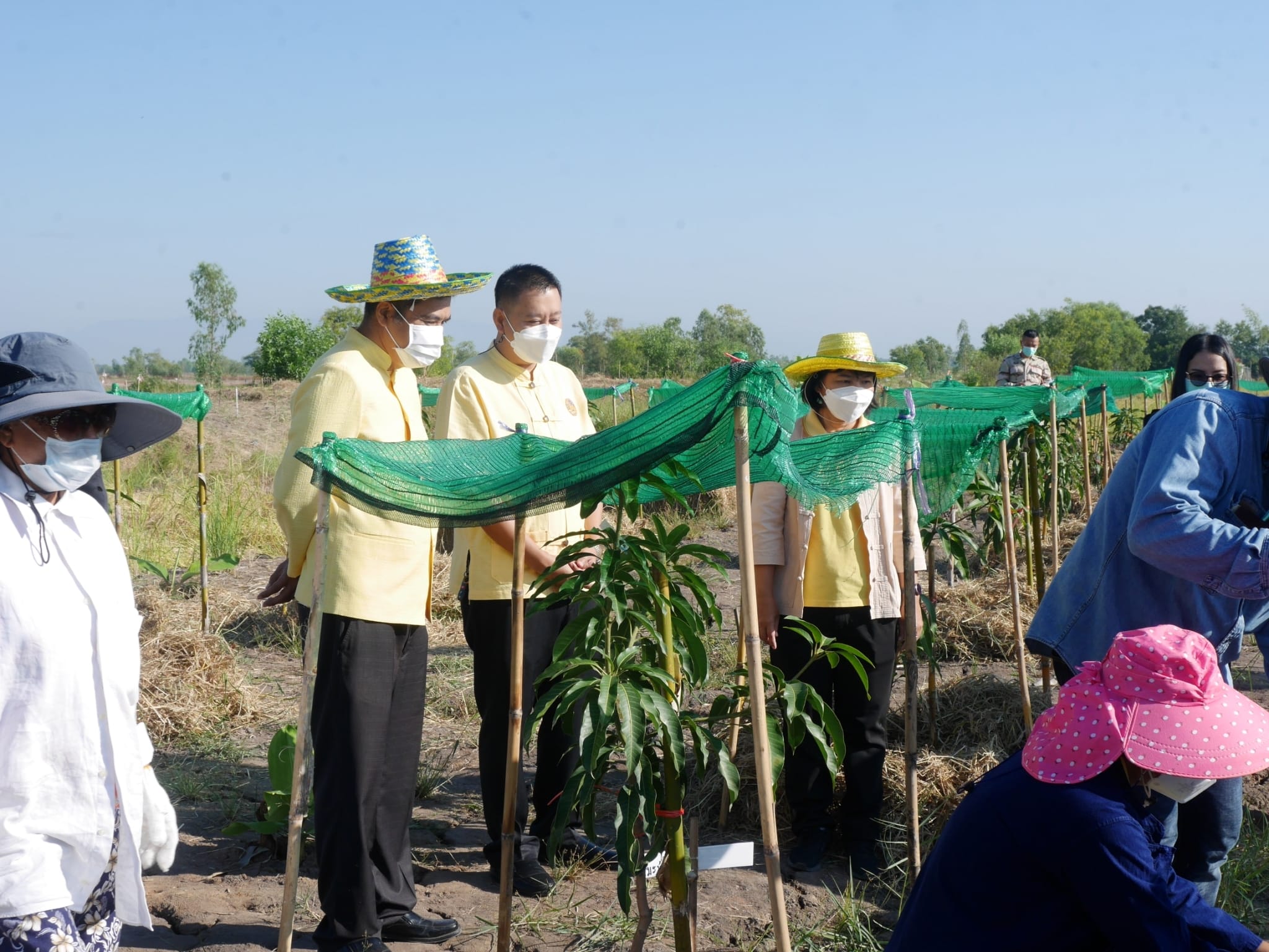 พช.นครนายก ร่วมกิจกรรม “เอามื้อสามัคคี” วันดินโลก (World Soil Day) ปี 2564 จังหวัดนครนายก