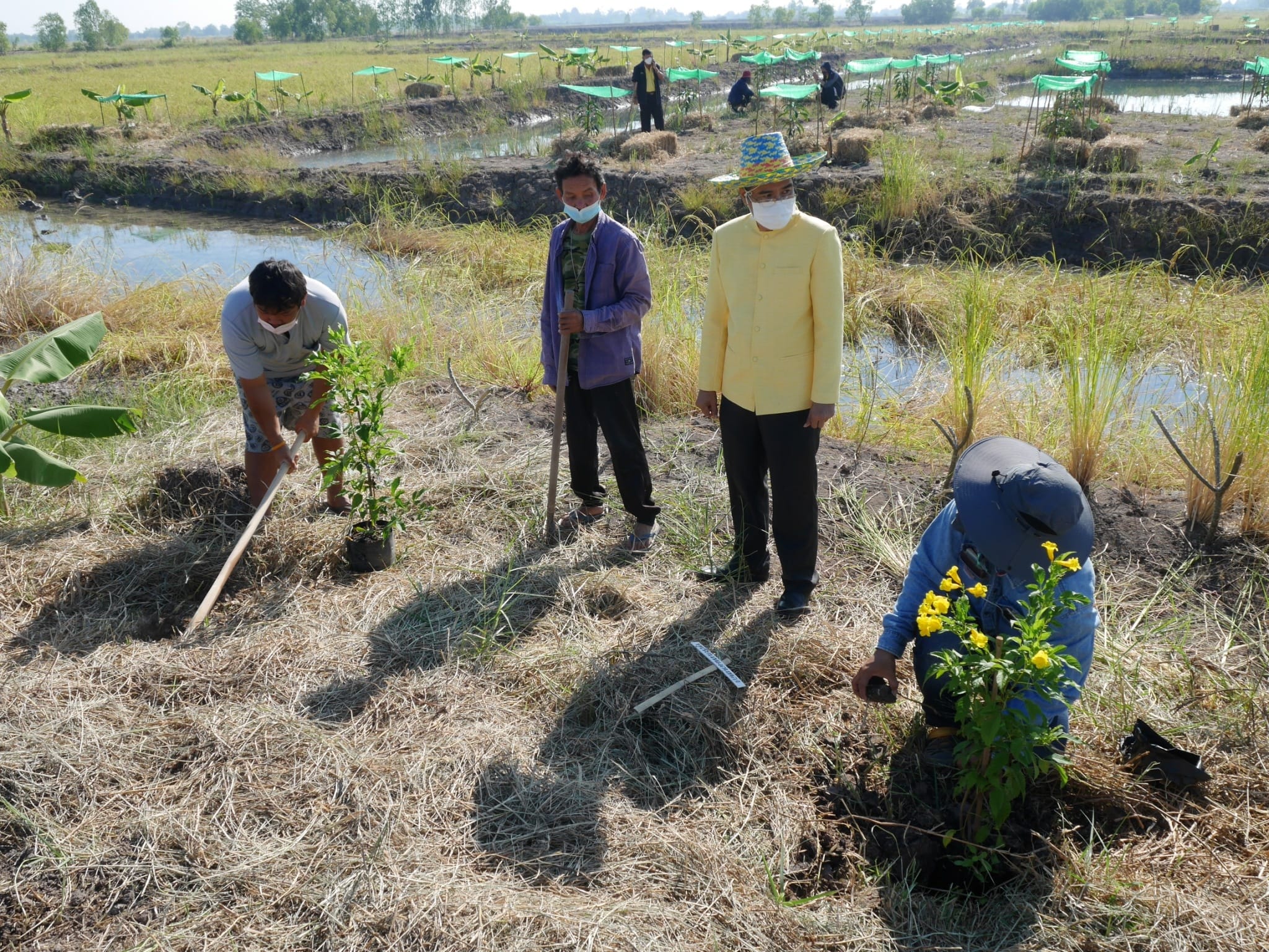 พช.นครนายก ร่วมกิจกรรม “เอามื้อสามัคคี” วันดินโลก (World Soil Day) ปี 2564 จังหวัดนครนายก