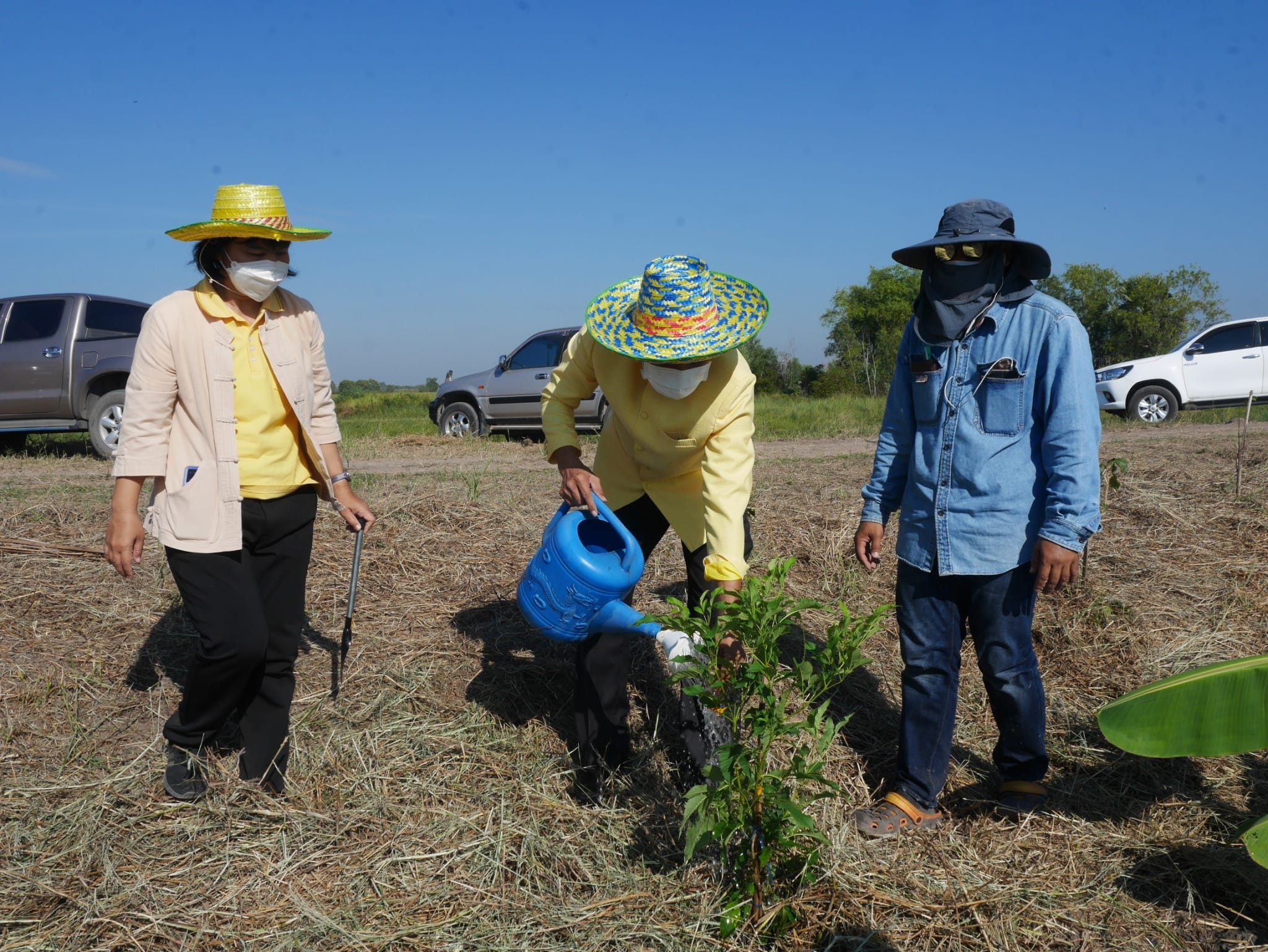 พช.นครนายก ร่วมกิจกรรม “เอามื้อสามัคคี” วันดินโลก (World Soil Day) ปี 2564 จังหวัดนครนายก