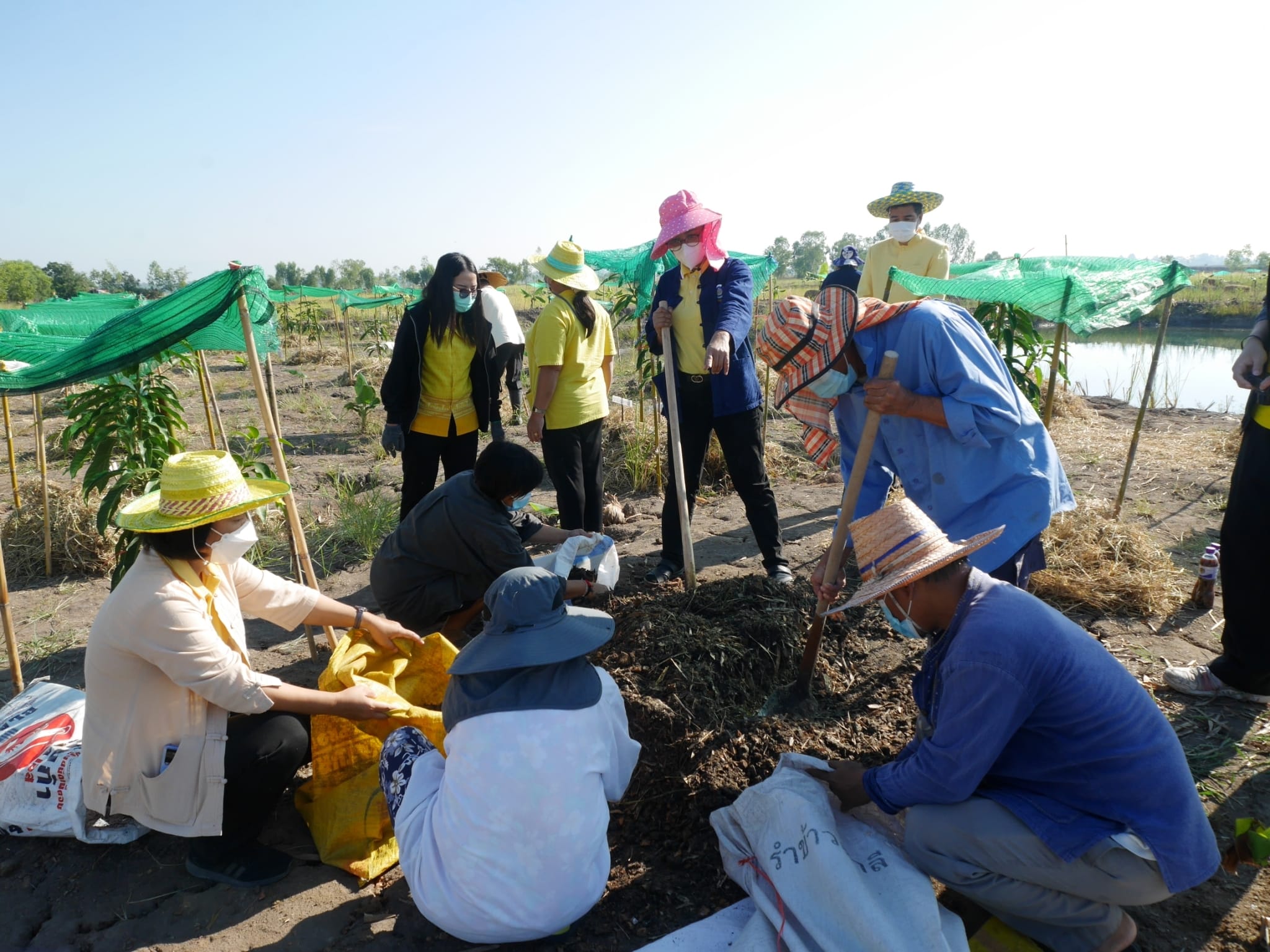 พช.นครนายก ร่วมกิจกรรม “เอามื้อสามัคคี” วันดินโลก (World Soil Day) ปี 2564 จังหวัดนครนายก