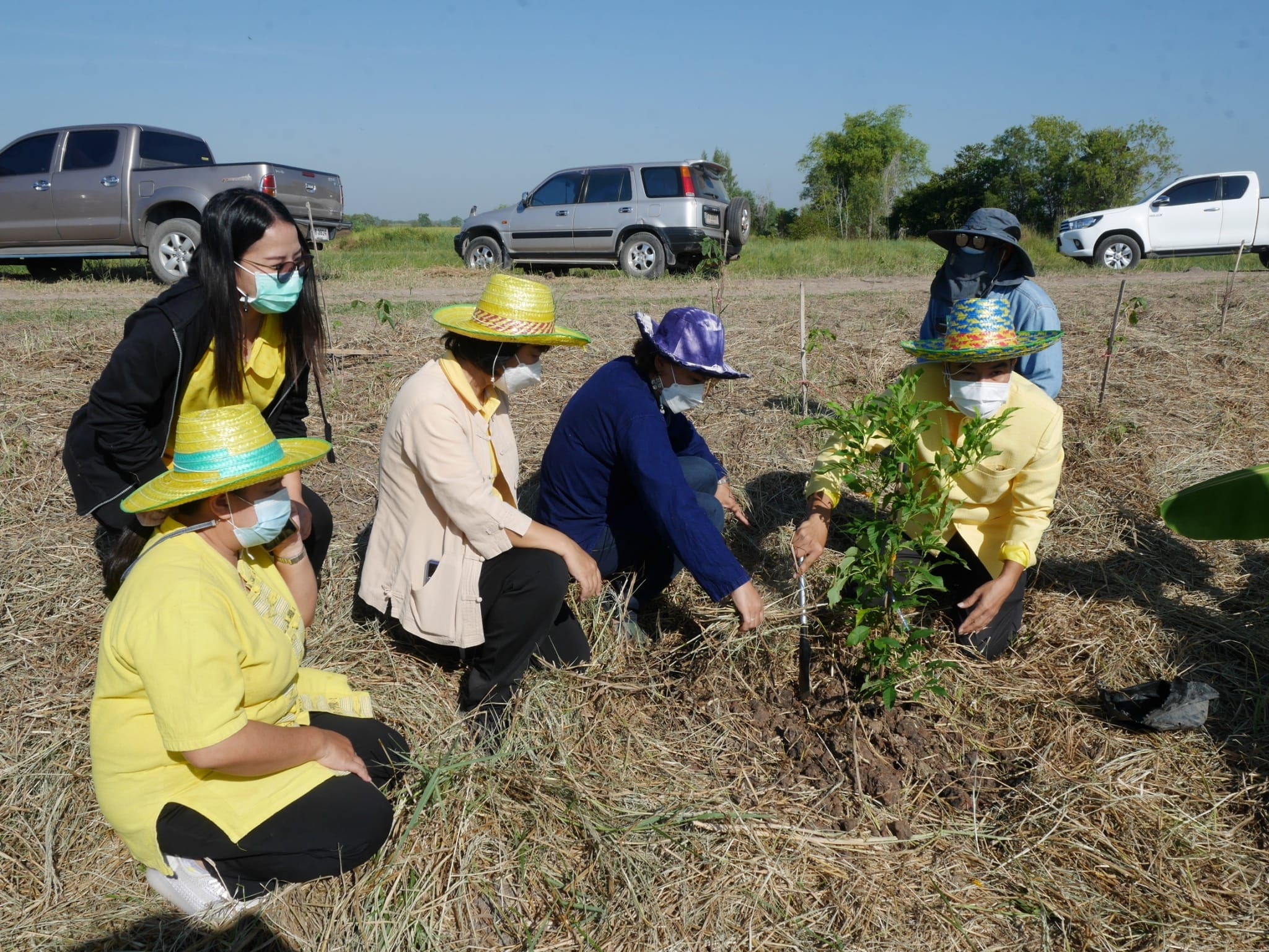 พช.นครนายก ร่วมกิจกรรม “เอามื้อสามัคคี” วันดินโลก (World Soil Day) ปี 2564 จังหวัดนครนายก