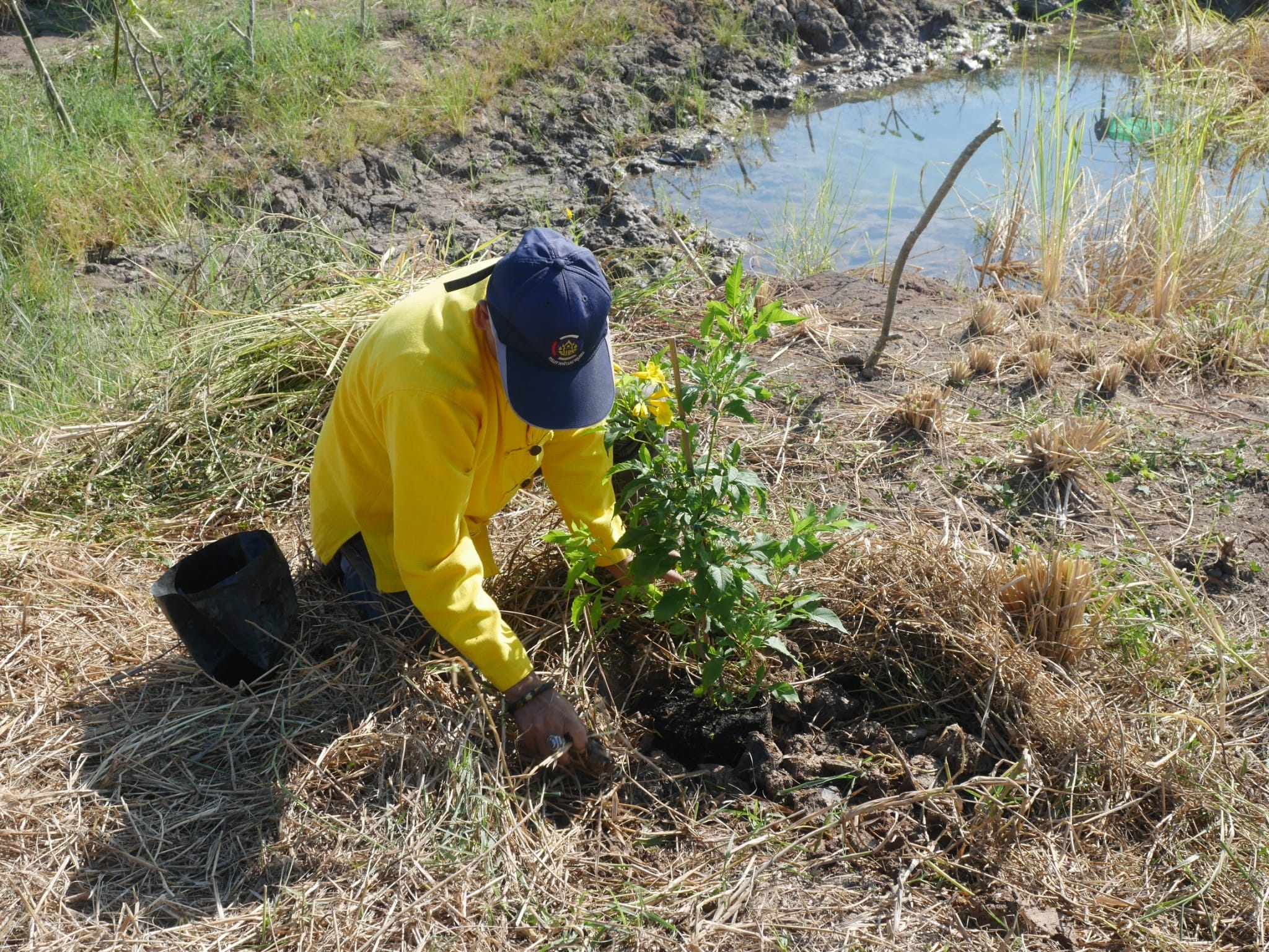 พช.นครนายก ร่วมกิจกรรม “เอามื้อสามัคคี” วันดินโลก (World Soil Day) ปี 2564 จังหวัดนครนายก