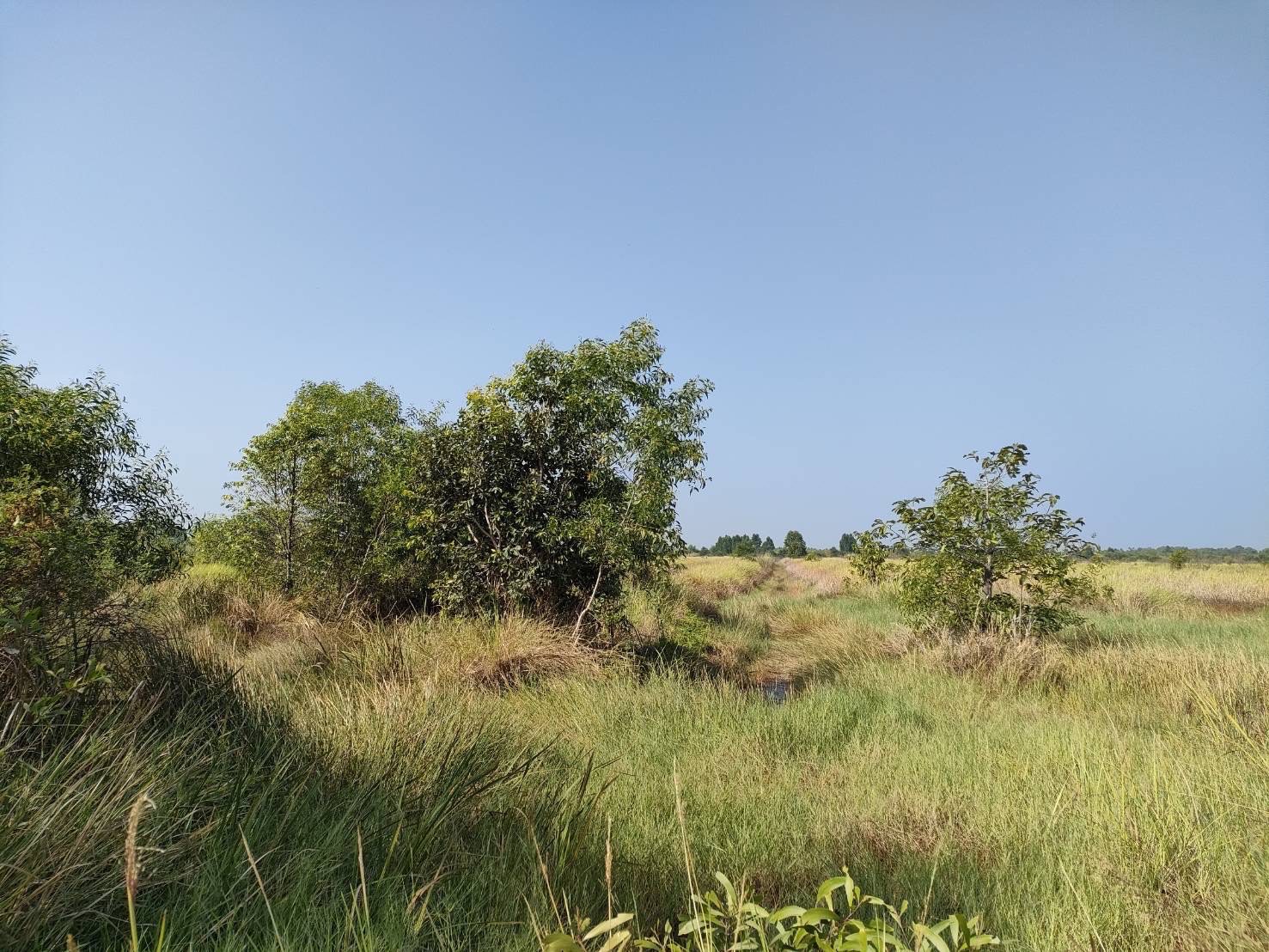 นายจำเริญ แหวนเพ็ชร ผู้ตรวจราชการกรมการพัฒนาชุมชน ลงพื้นที่ทุ่งบางกะชา