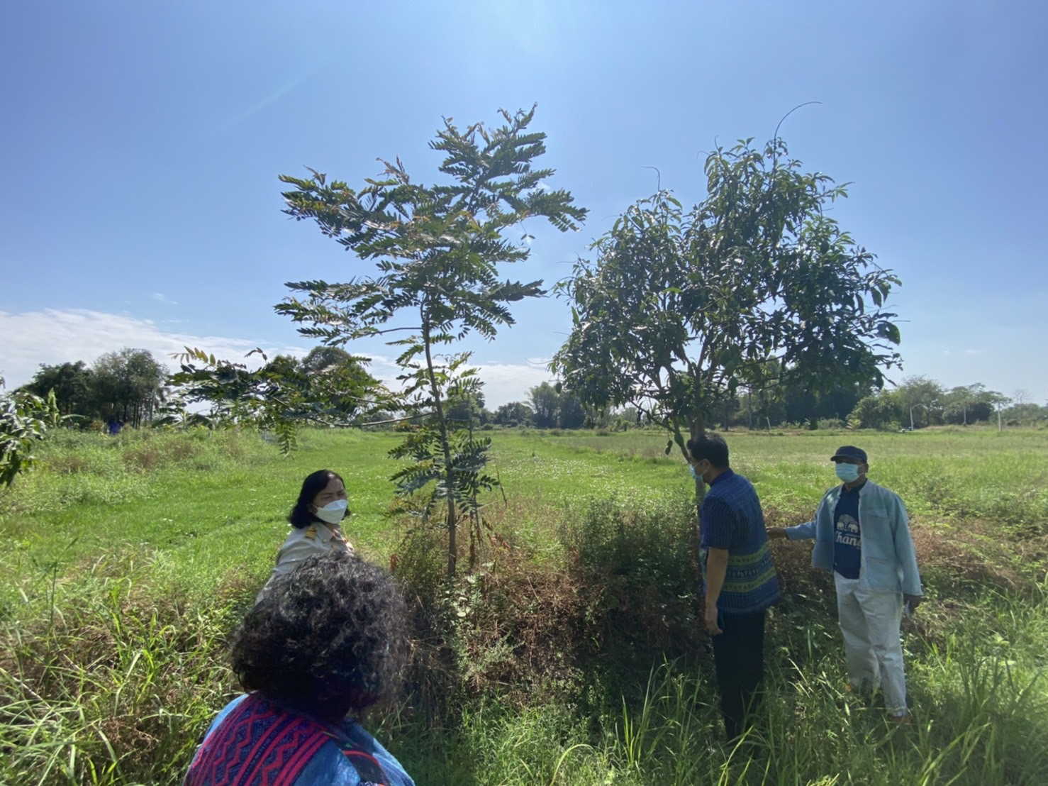 ศูนย์เรียนรู้ทฤษฎีใหม่รูปแบบ “โคก หนอง นา โมเดล”