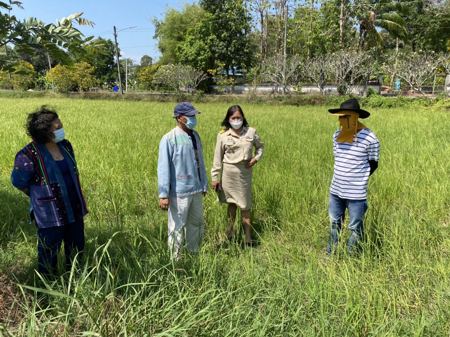 ศูนย์เรียนรู้ทฤษฎีใหม่รูปแบบ “โคก หนอง นา โมเดล”