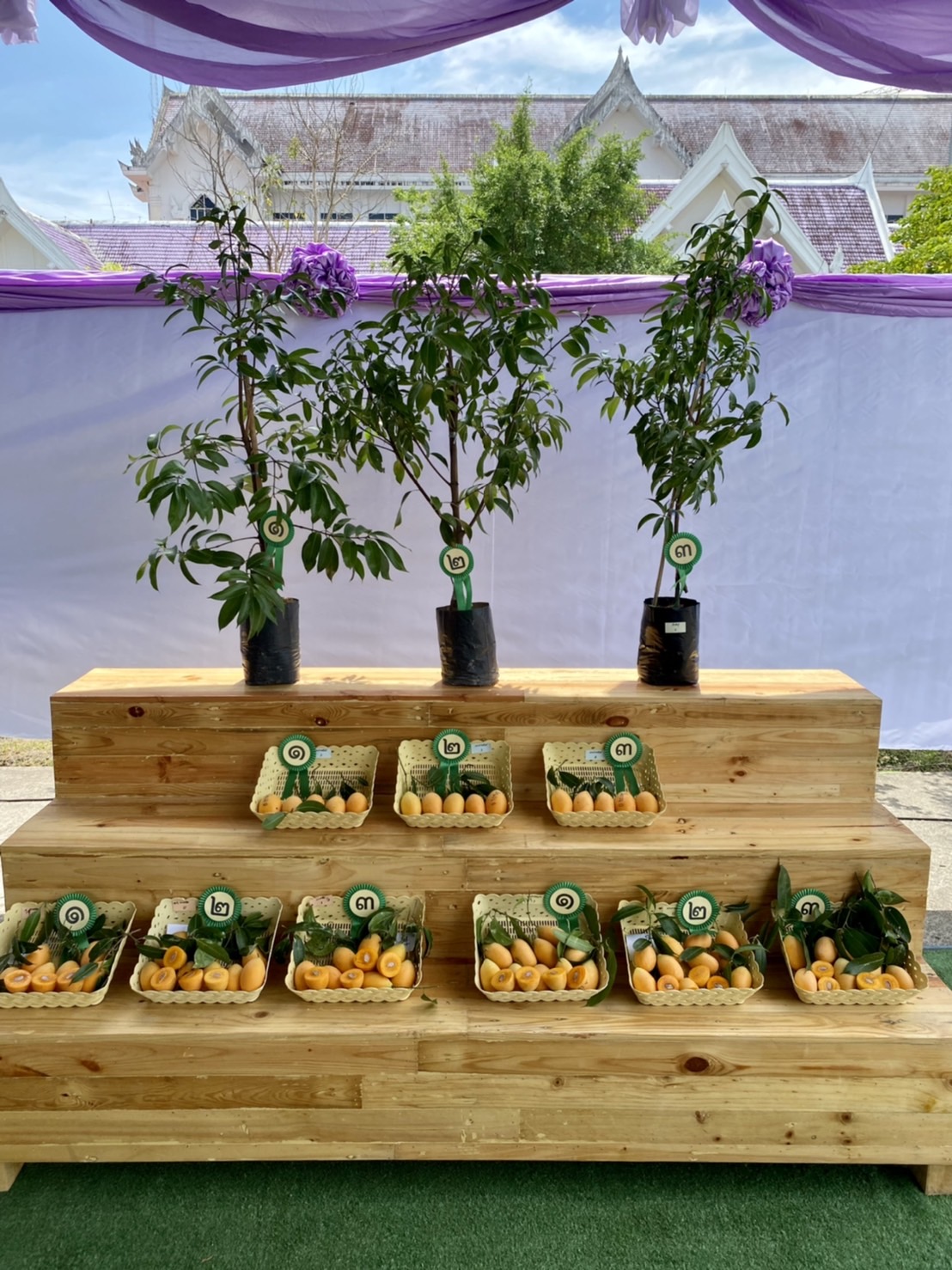 ??พช.นครนายก ร่วมงานมะยงชิด มะปรางหวาน จังหวัดนครนายก ประจำปี 2565