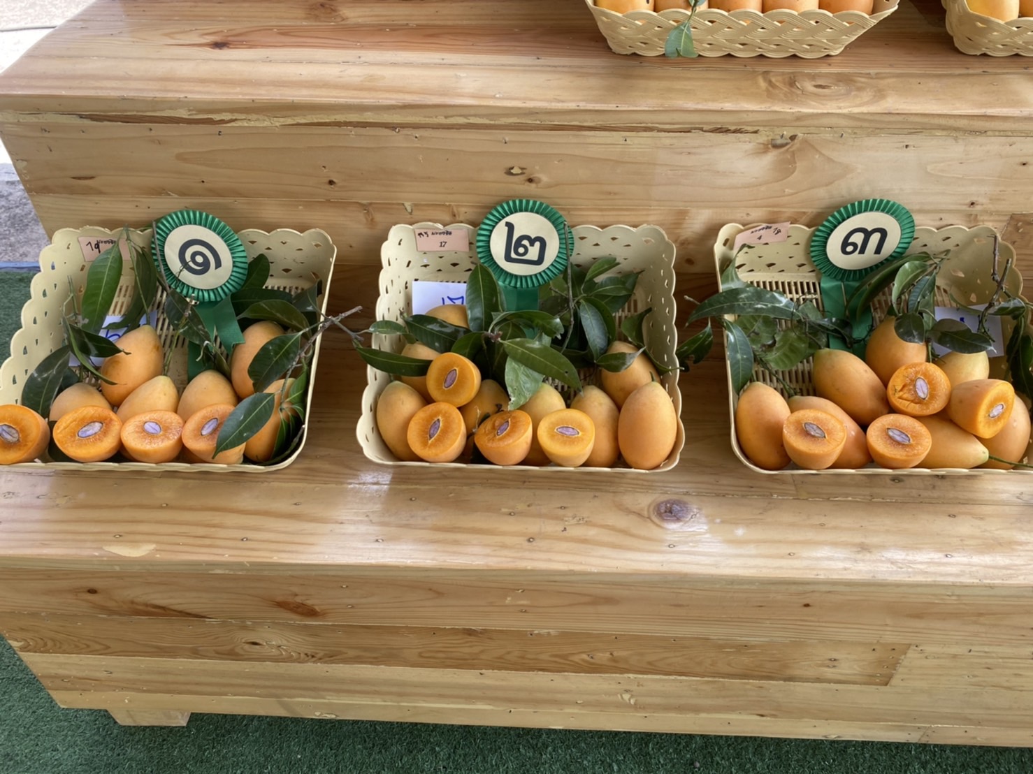 ??พช.นครนายก ร่วมงานมะยงชิด มะปรางหวาน จังหวัดนครนายก ประจำปี 2565