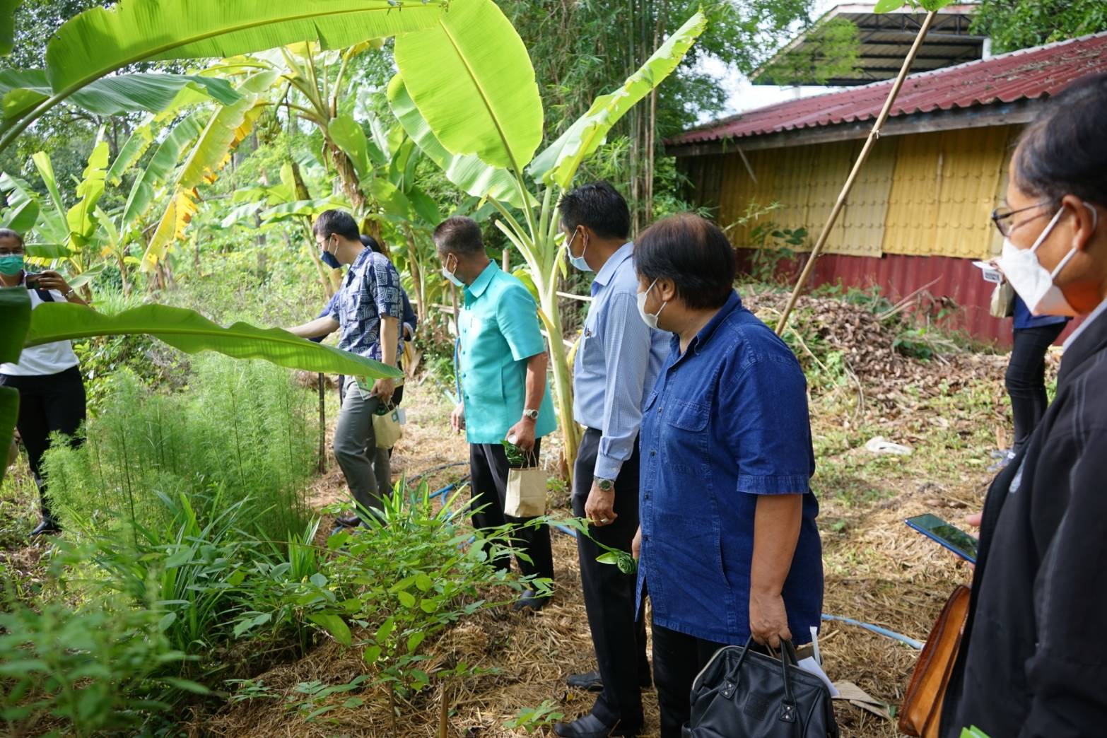 ศูนย์เรียนรู้เกษตรทฤษฎีใหม่ “โคก หนอง นา” วัดดงละคร