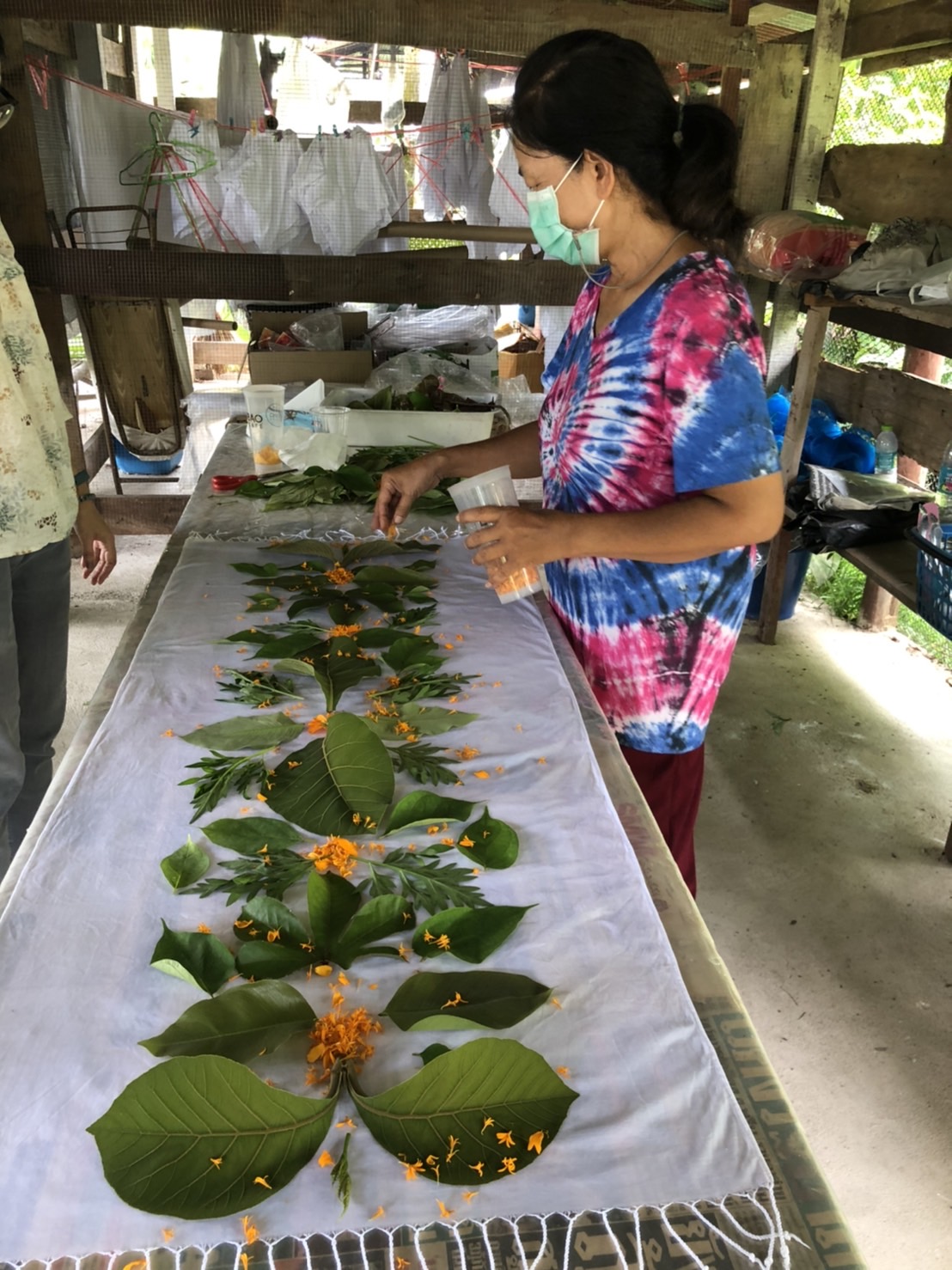 ? พช.นครนายก ขยายผลการพัฒนาผ้าไทยพื้นเมืองยัอมลายสีจากวัสดุธรรมชาติ