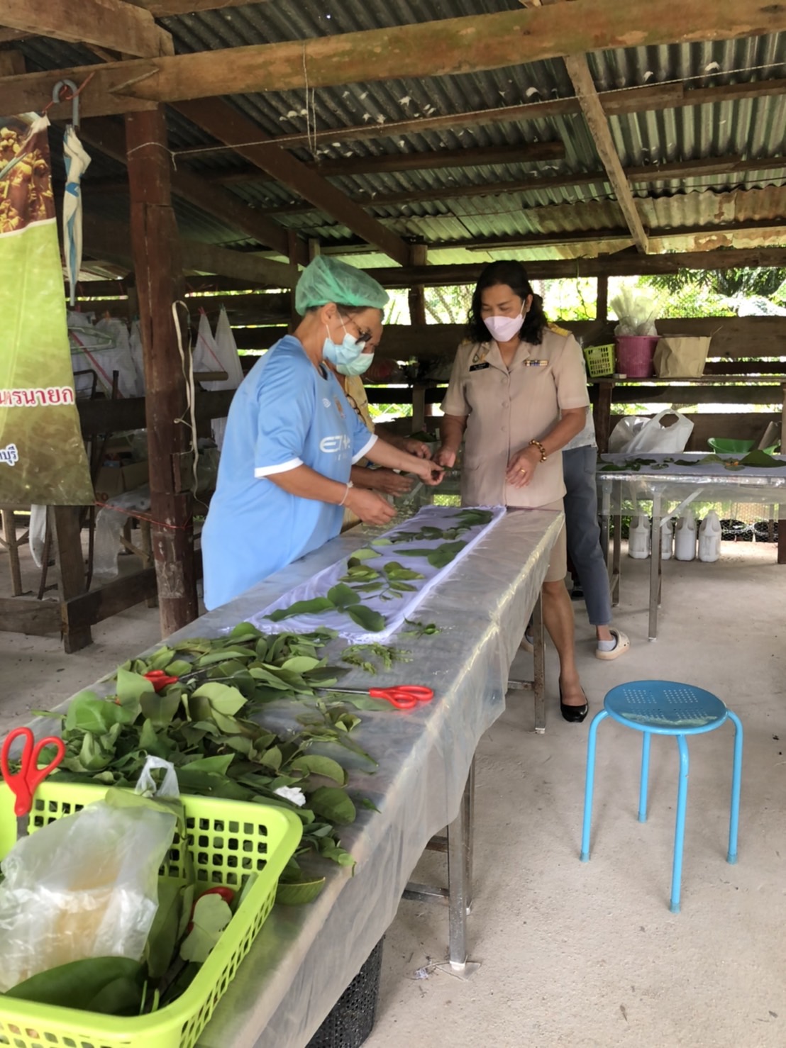 ? พช.นครนายก ขยายผลการพัฒนาผ้าไทยพื้นเมืองยัอมลายสีจากวัสดุธรรมชาติ