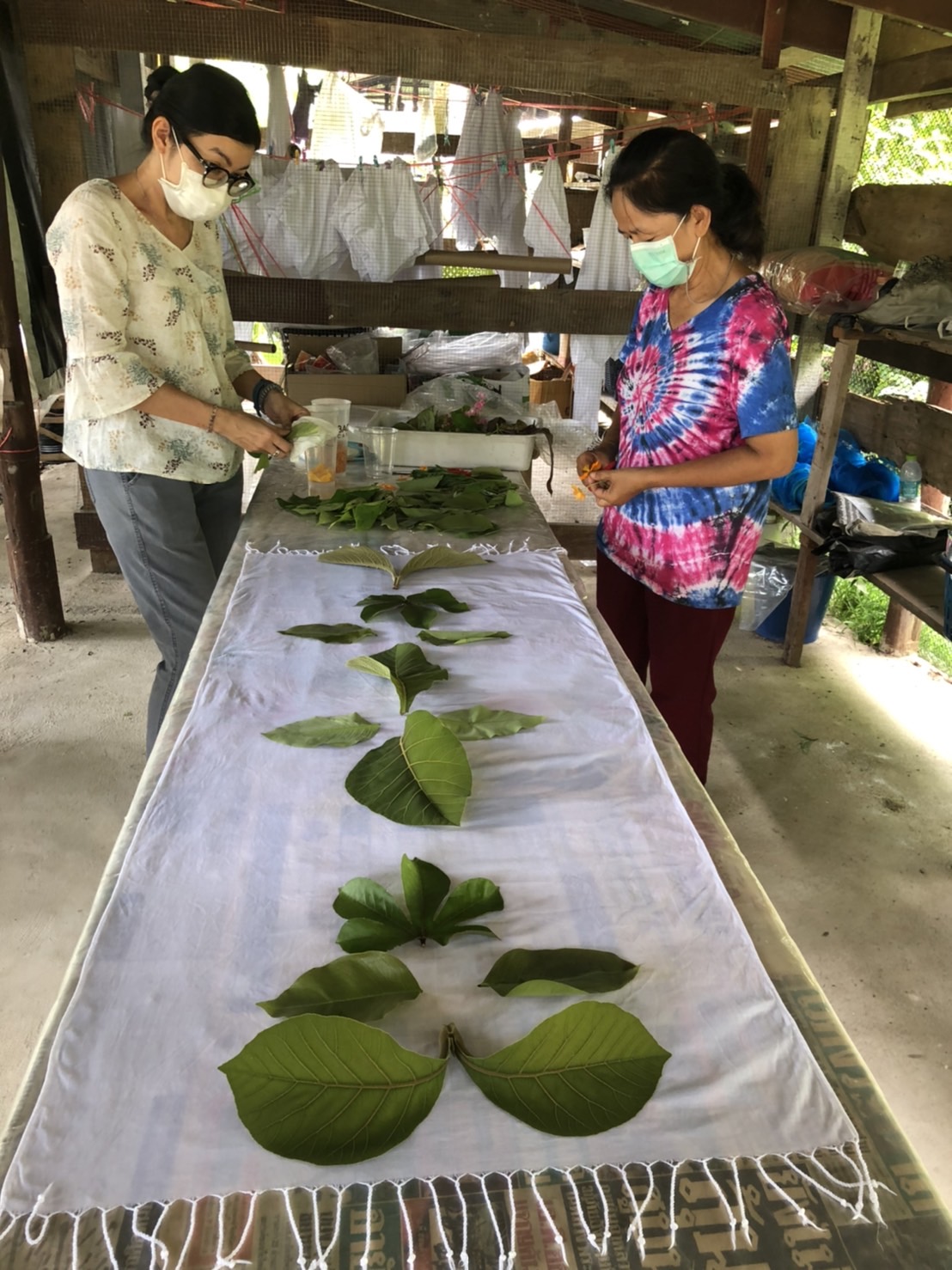 ? พช.นครนายก ขยายผลการพัฒนาผ้าไทยพื้นเมืองยัอมลายสีจากวัสดุธรรมชาติ