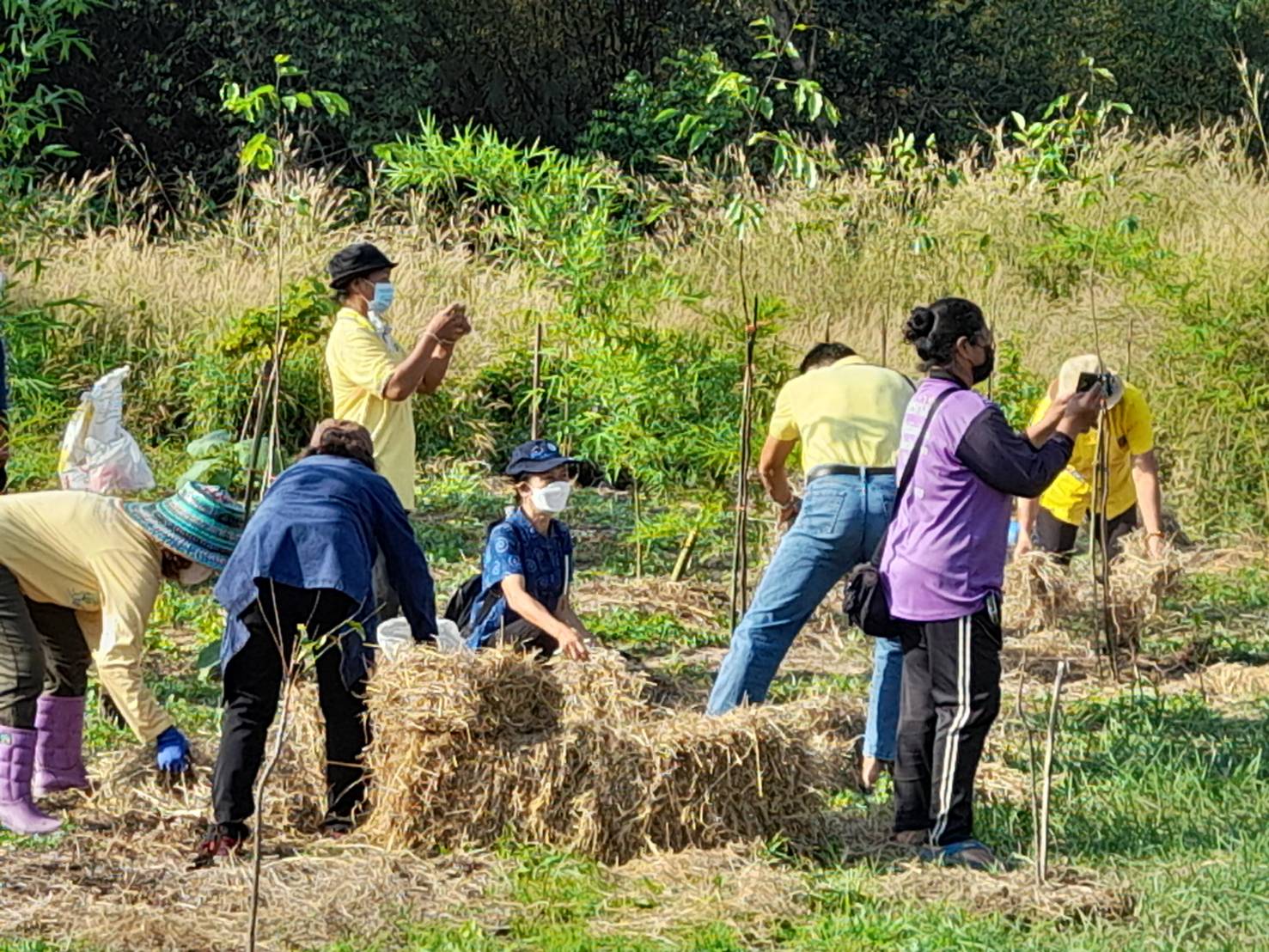 พช.นครนายก : สพอ.ปากพลี ร่วมจัดกิจกรรมวันดินโลก ประจำปี 2565 ภายใต้แนวคิด “Soil : Where Food From Begin อาหารก่อกำเนิด เกิดจากดิน”