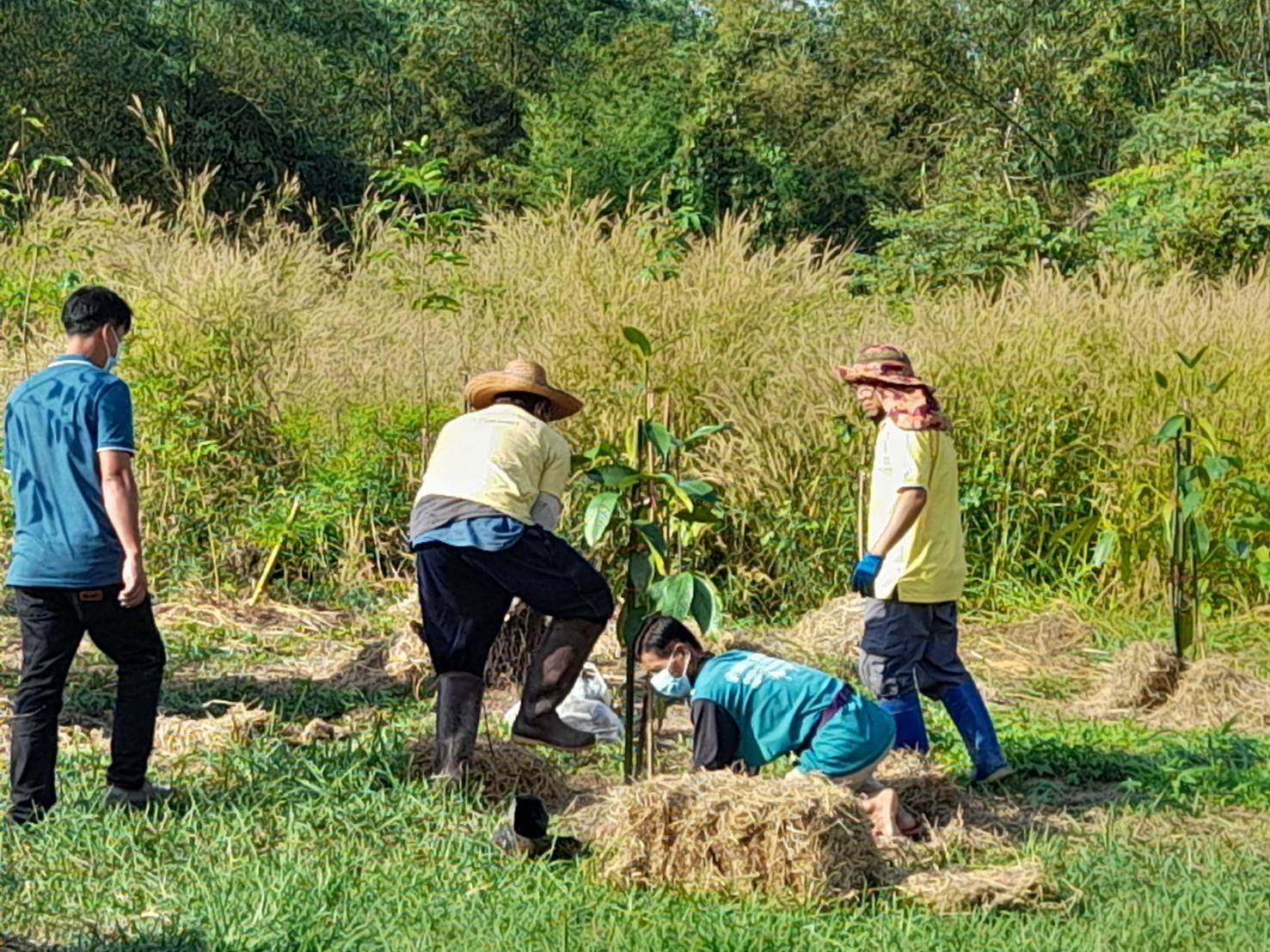 พช.นครนายก : สพอ.ปากพลี ร่วมจัดกิจกรรมวันดินโลก ประจำปี 2565 ภายใต้แนวคิด “Soil : Where Food From Begin อาหารก่อกำเนิด เกิดจากดิน”
