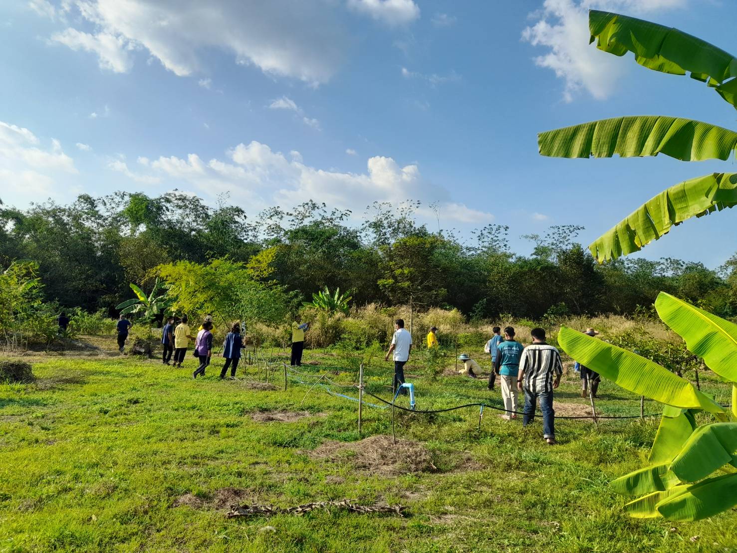 พช.นครนายก : สพอ.ปากพลี ร่วมจัดกิจกรรมวันดินโลก ประจำปี 2565 ภายใต้แนวคิด “Soil : Where Food From Begin อาหารก่อกำเนิด เกิดจากดิน”