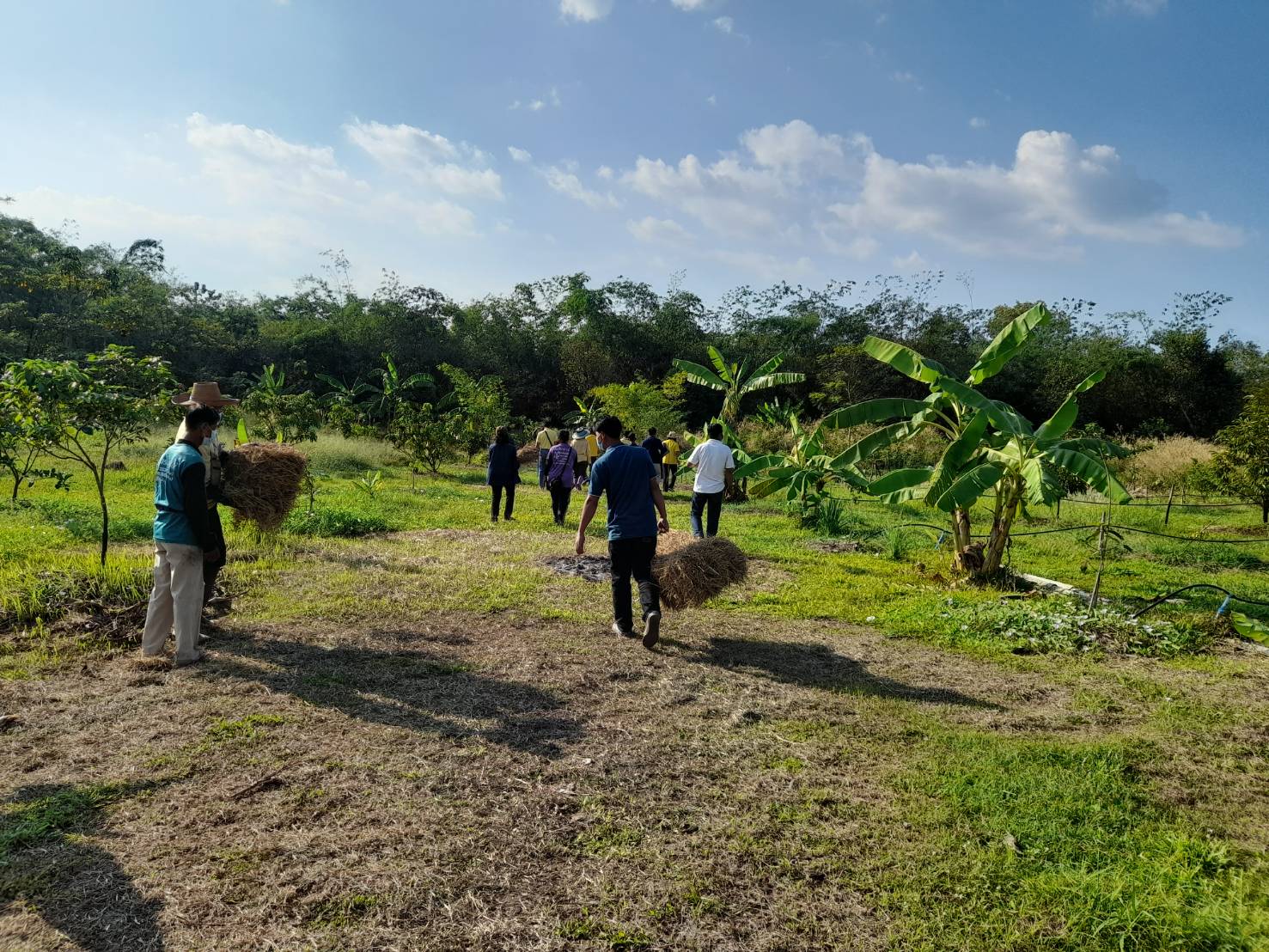 พช.นครนายก : สพอ.ปากพลี ร่วมจัดกิจกรรมวันดินโลก ประจำปี 2565 ภายใต้แนวคิด “Soil : Where Food From Begin อาหารก่อกำเนิด เกิดจากดิน”