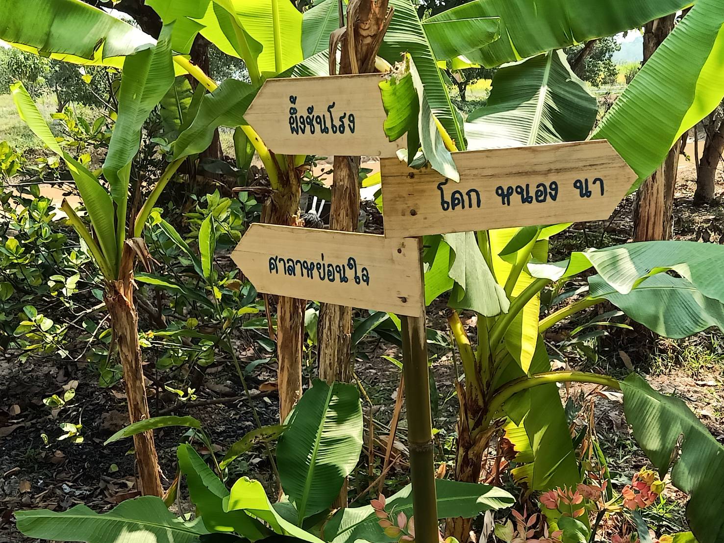 พัฒนาการจังหวัดนครนายก นำทีมลงพื้นที่ติดตามและตรวจเยี่ยม ในกิจกรรมการพัฒนาชุมชนในพื้นที่อำเภอปากพลี จังหวัดนครนายก