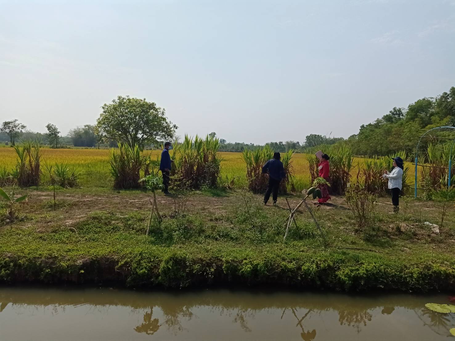 พัฒนาการจังหวัดนครนายก นำทีมลงพื้นที่ติดตามและตรวจเยี่ยม ในกิจกรรมการพัฒนาชุมชนในพื้นที่อำเภอปากพลี จังหวัดนครนายก