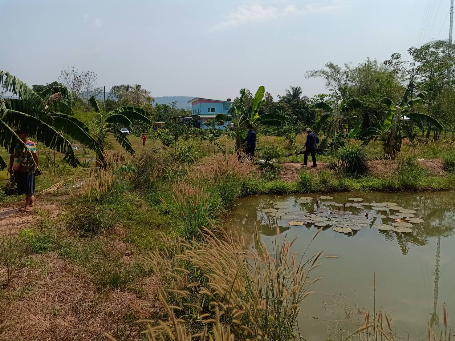 พัฒนาการจังหวัดนครนายก นำทีมลงพื้นที่ติดตามและตรวจเยี่ยม ในกิจกรรมการพัฒนาชุมชนในพื้นที่อำเภอปากพลี จังหวัดนครนายก