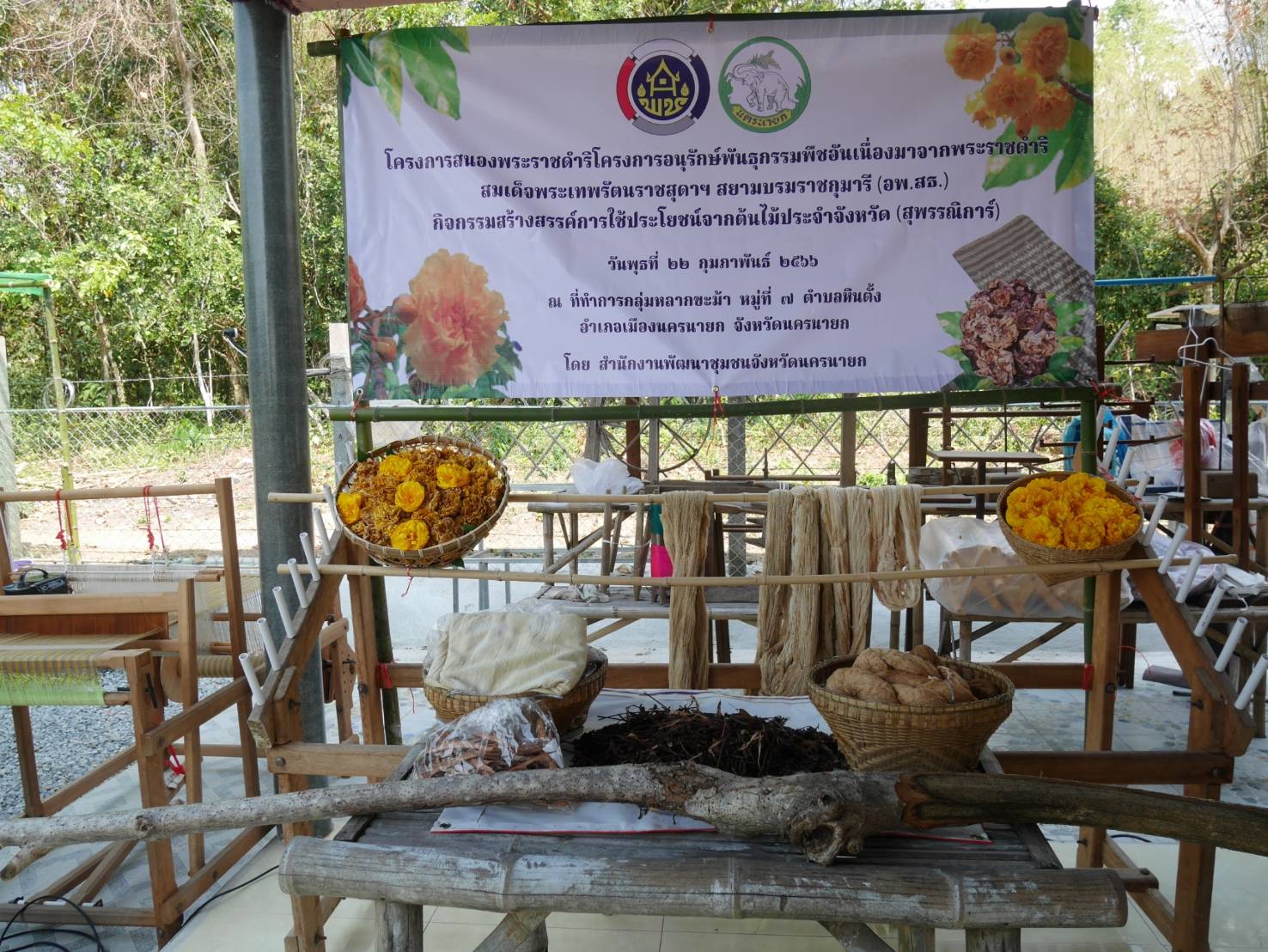 พช.นครนายก ดำเนินกิจกรรมการค้นหาองค์ความรู้เกี่ยวกับประโยชน์และสร้างสรรค์วิธีการใช้ประโยชน์จากต้นไม้ประจำจังหวัด ให้สามารถแปรรูป/พัฒนาเป็นผลิตภัณฑ์  ที่นำไปสู่รายได้ของประชาชน