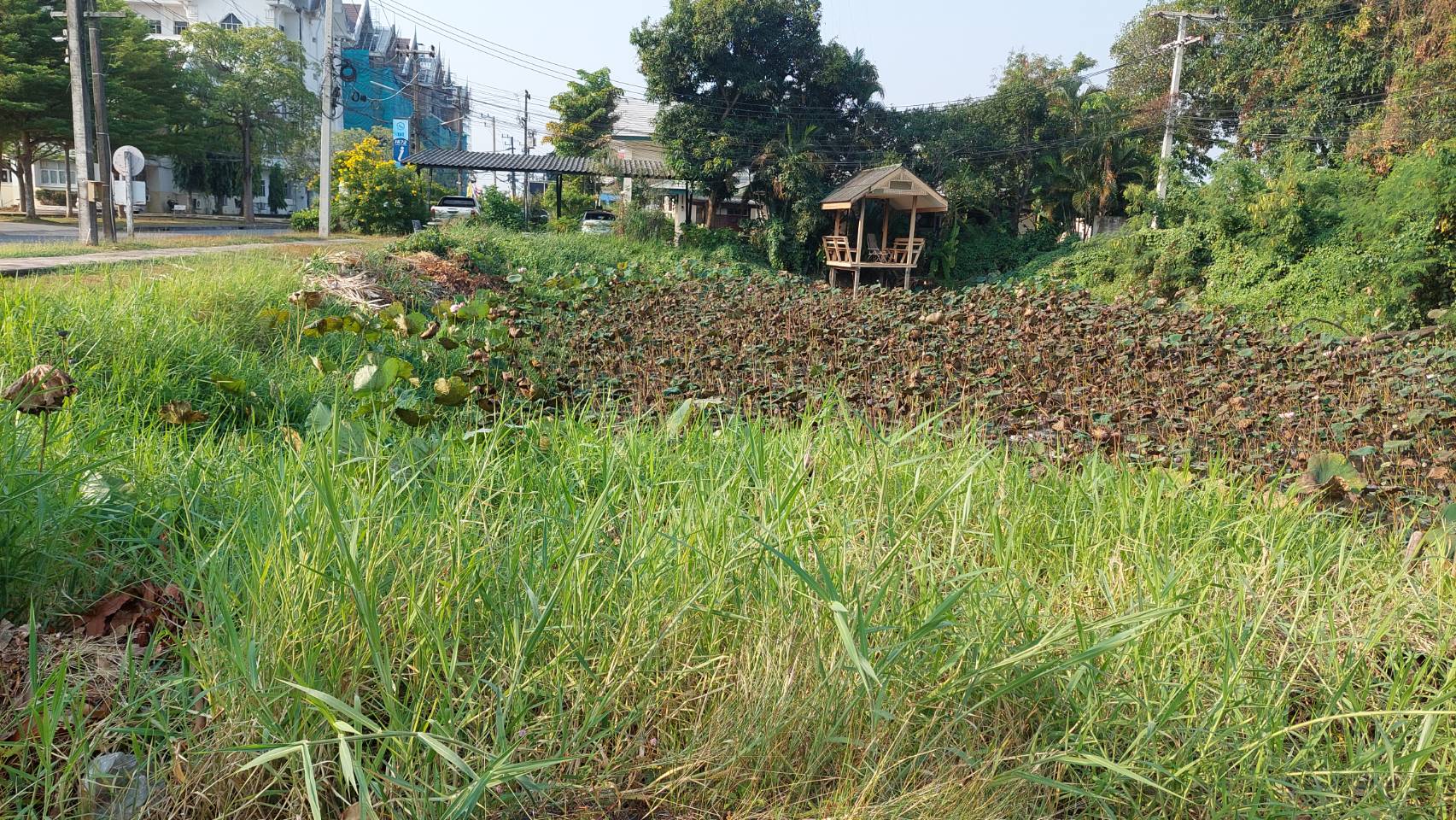 จังหวัดนครนายก ดำเนินการเตรียมพื้นที่ว่างบริเวณด้านหน้าศาลากลางจังหวัด เพื่อให้เป็นจุดเรียนรู้เศรษฐกิจพอเพียง 30 ตารางวา โมเดล